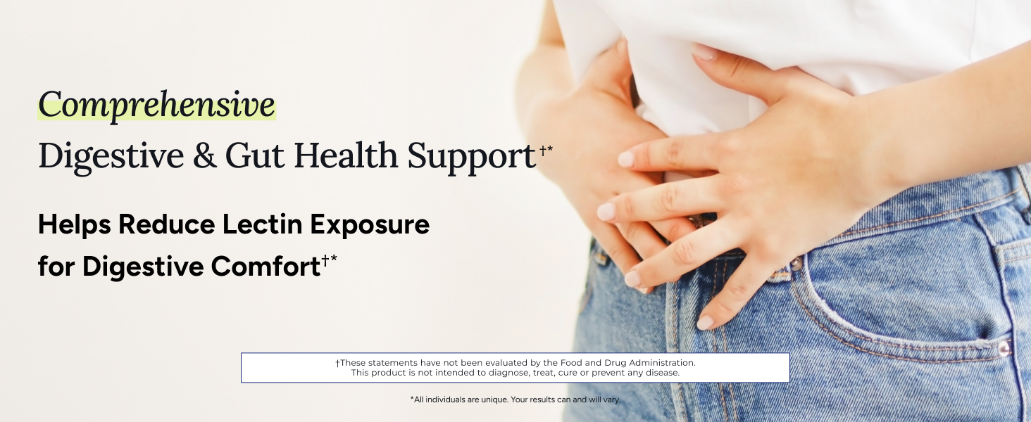 gut health digestion digestive lectin bloating