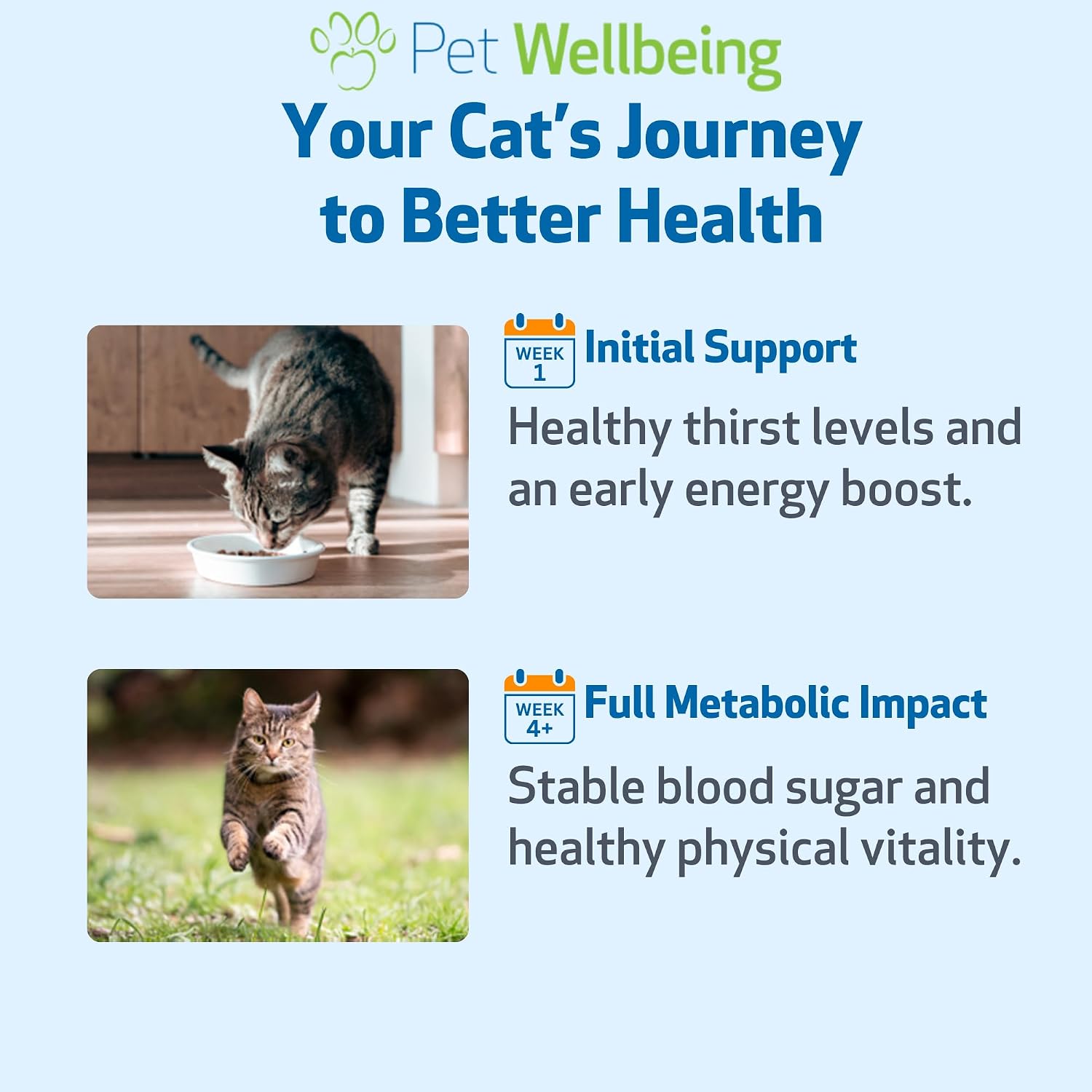 Pet Wellbeing Blood Sugar Gold for Cats - Blood Sugar Support, 2 oz | NASC Certified & Vet-Formulated Liquid Blood Glucose Supplement with Gymnema & Devil’s Club for Insulin & Pancreatic Support