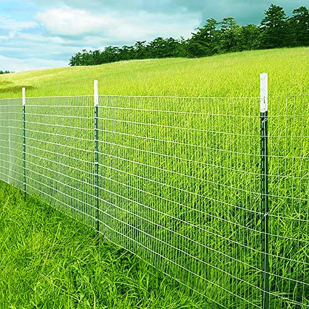 16GA Galvanized 48in x 50ft-3in x 2in Welded Wire Mesh Garden Economy Fence