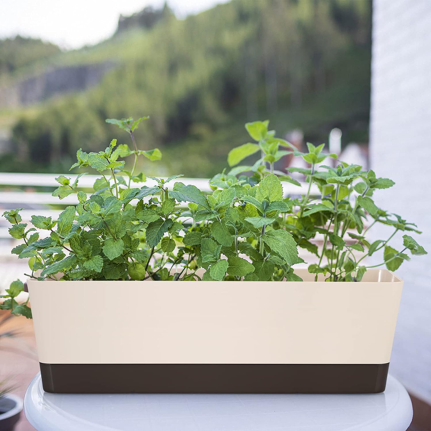 Skelang 3 Pcs Rectangular Plant Pot, 12" Watering Container with Drainage Hole, Window Planter Box with Saucer for Succulents, Flowers, Indoor Plants