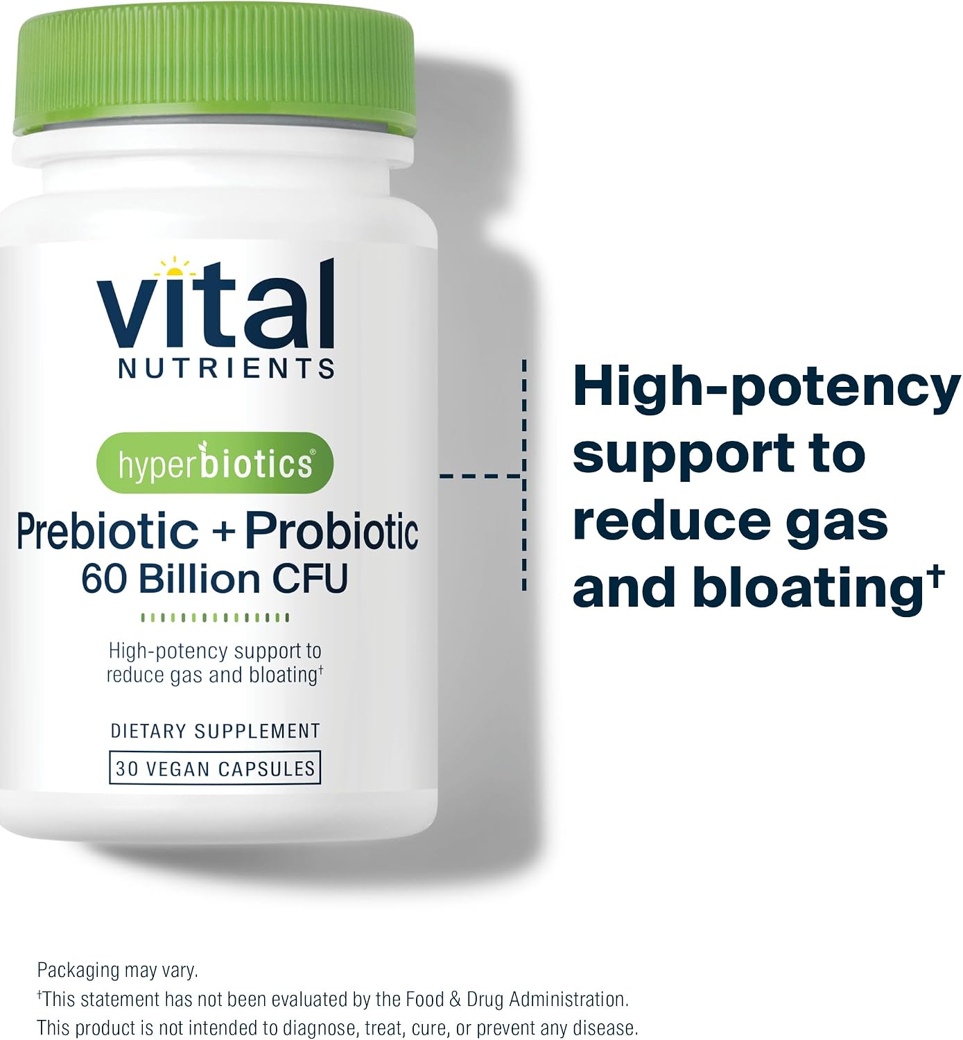 Vital Nutrients Prebiotic & Probiotic, 60 Vegan Capsules