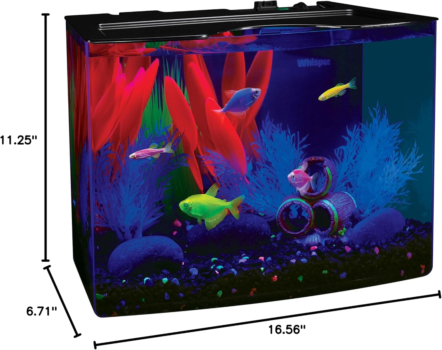 GloFish Crescent aquarium Kit 3 Gallons, Includes Hidden Blue LED Light And Internal Filter
