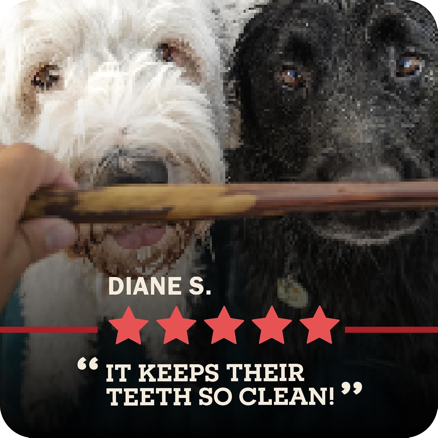 Redbarn Pet Products All-Natural Bully Stick Rings for Dogs - Long Lasting Rawhide Chew Treat - Case of 35 | Long-lasting dental treats