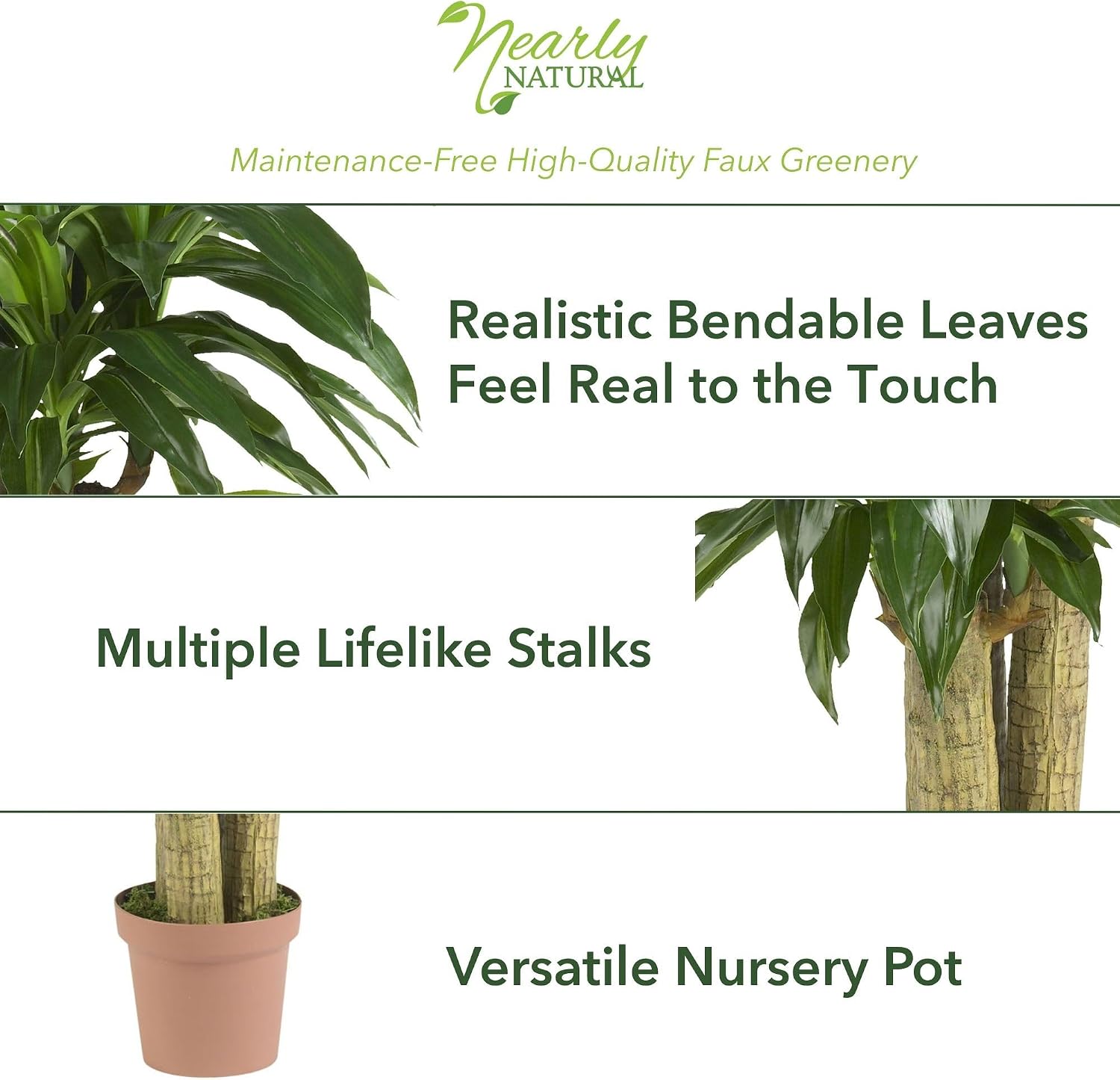 Nearly Natural 62IN Artificial Corn Stalk Dracaena Plant, Tall Fake Plant for Indoor Home Décor, Real Touch Faux Plant | Multi-Tonal Trunks