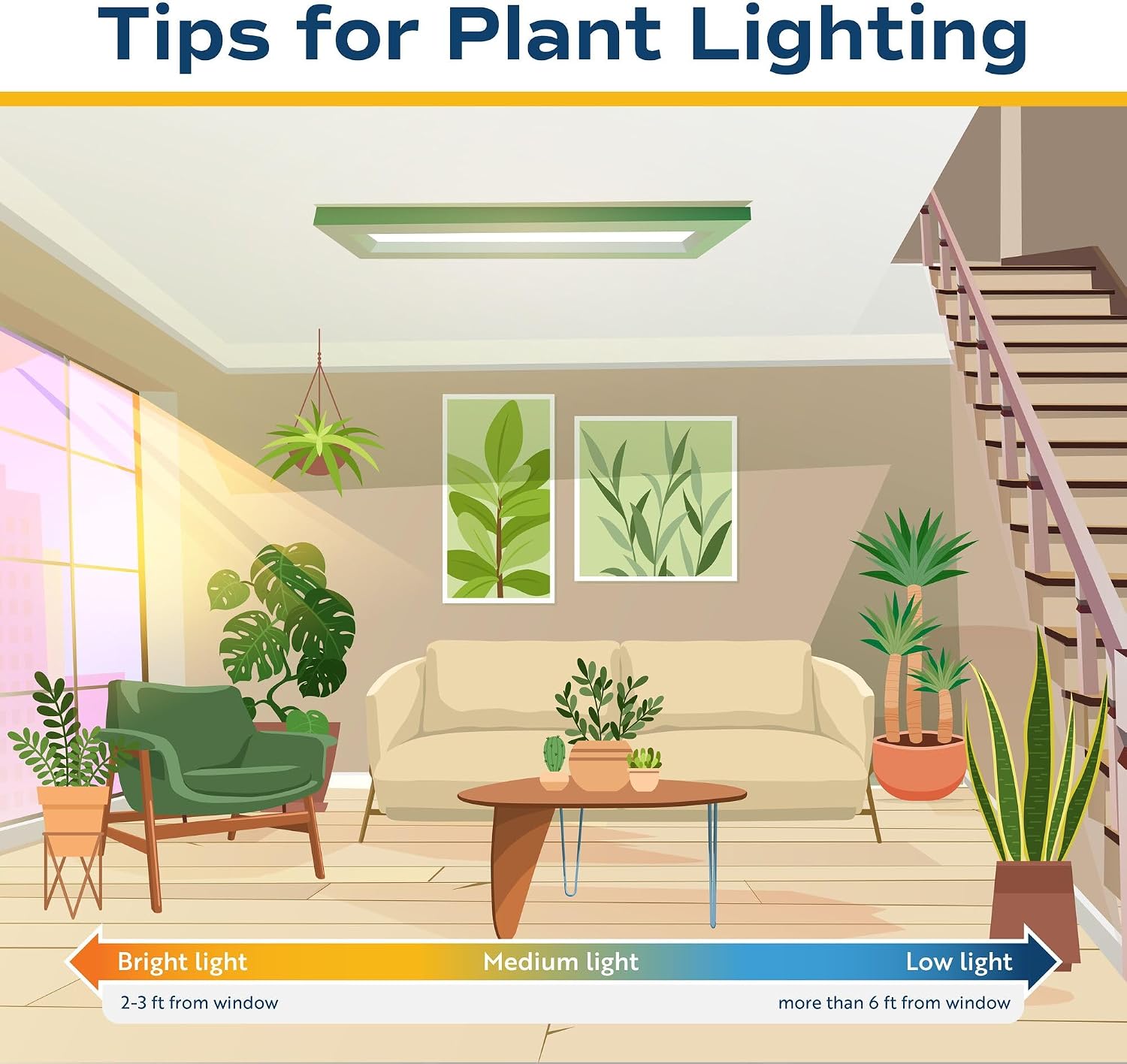Costa Farms Fiddle Leaf Fig, Live Indoor Plant, Floor Plant