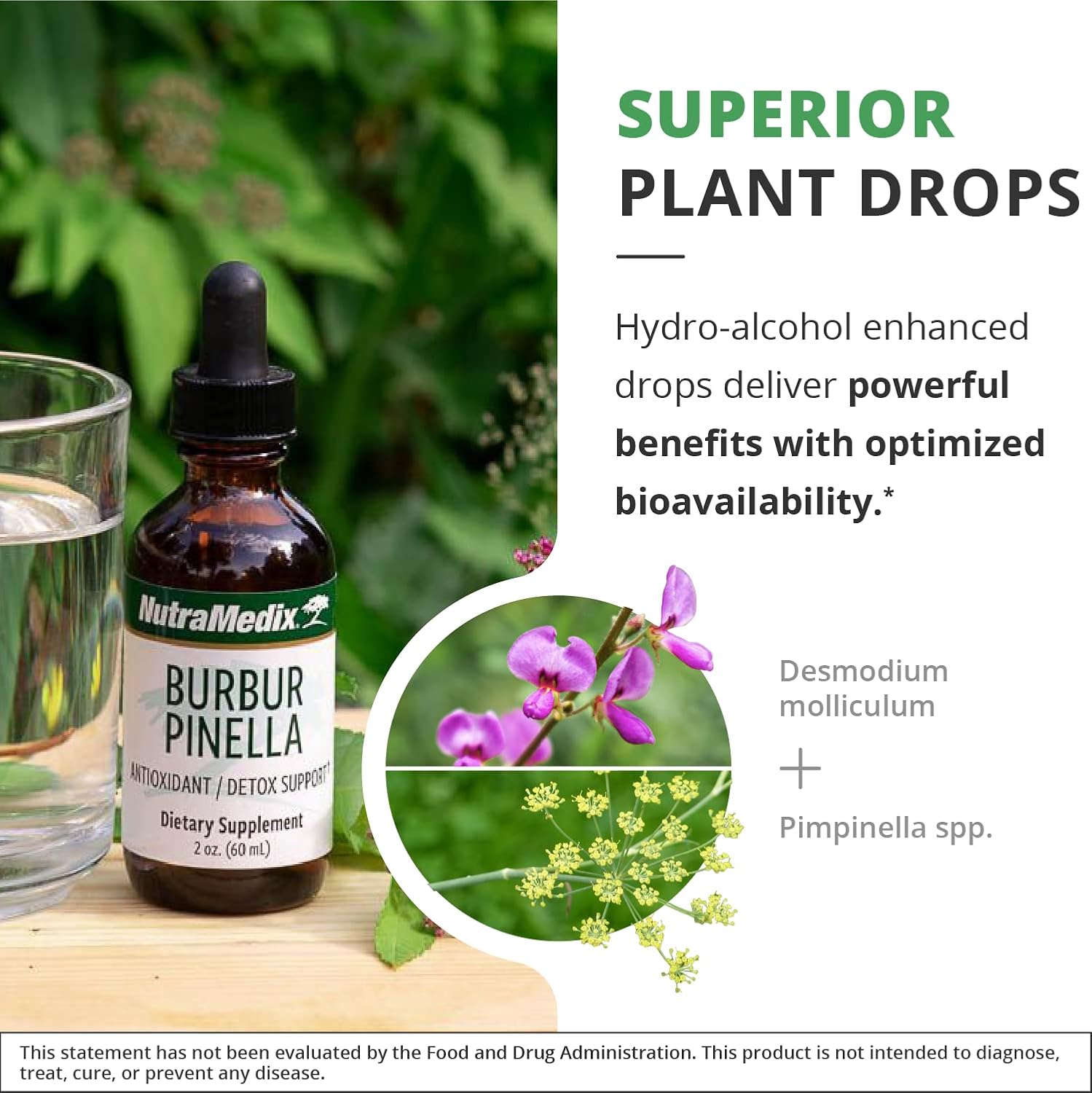 NutraMedix Burbur-Pinella Brain Health Supplements for Adults - Combat Brain Fog & Promote Nerve Support - Aid A Healthy Full Body Detox Cleanse