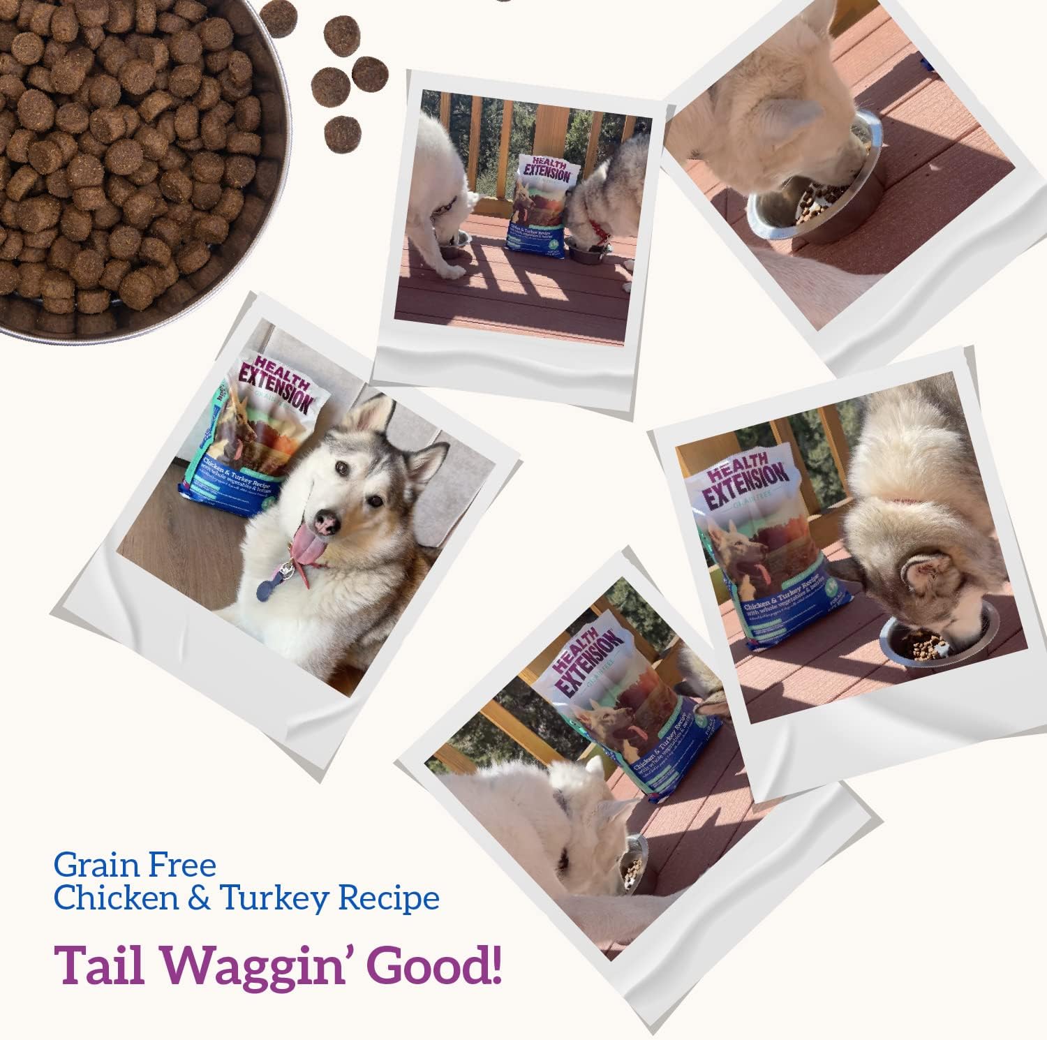 Health Extension Grain Free Venison & Sweet Potato Dry Dog Food - 30+ Superfoods and Probiotics for All Life Stages (10 lb)