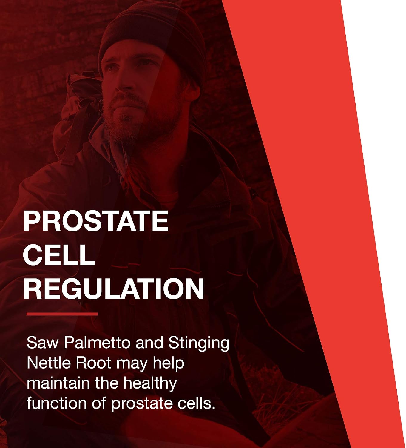 Protocol for Life Balance Ortho Prostate - Men's Prostate Health Supplement* - with Saw Palmetto Extract