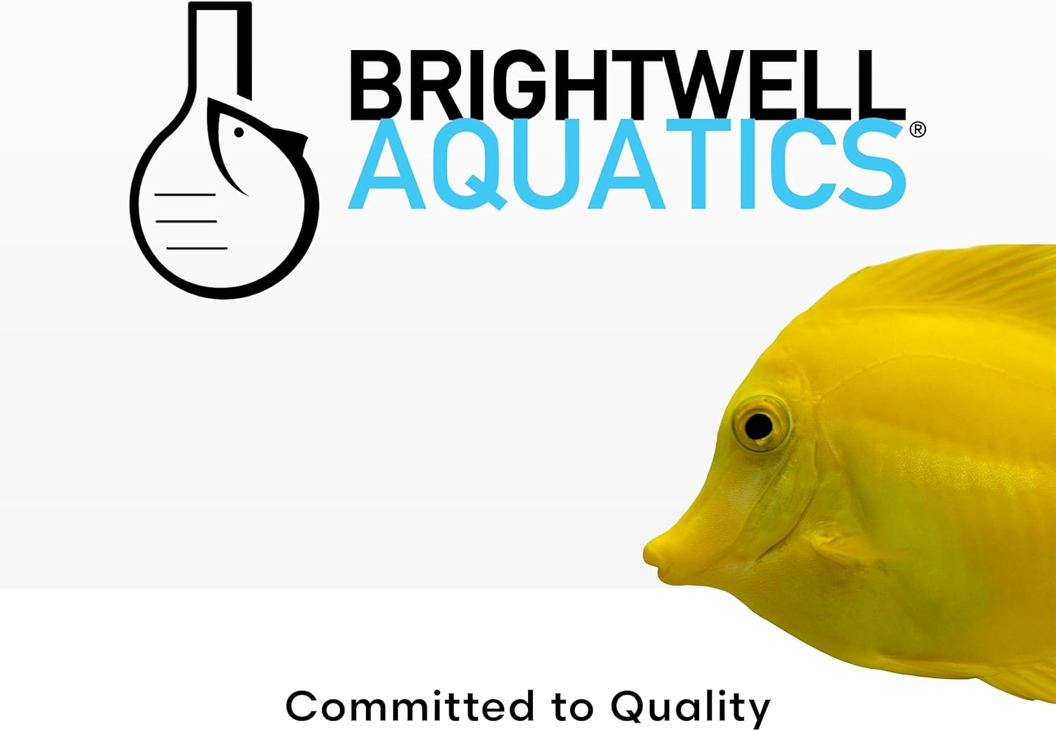 Brightwell Aquatics Caridina GH+ Shrimp Mineral Supplement RO/DI, 250ml