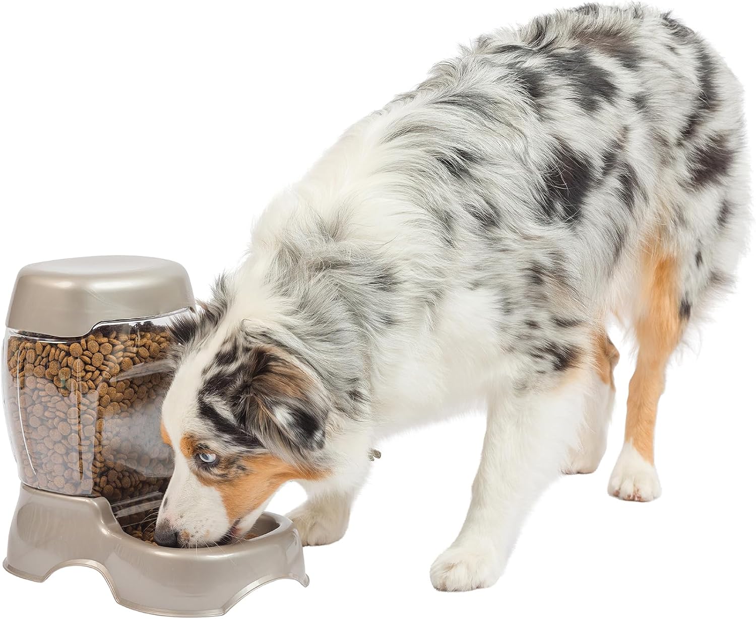Petmate Pet Cafe Feeder Dog and Cat Feeder Pearl Tan, 12 lb, Made in USA