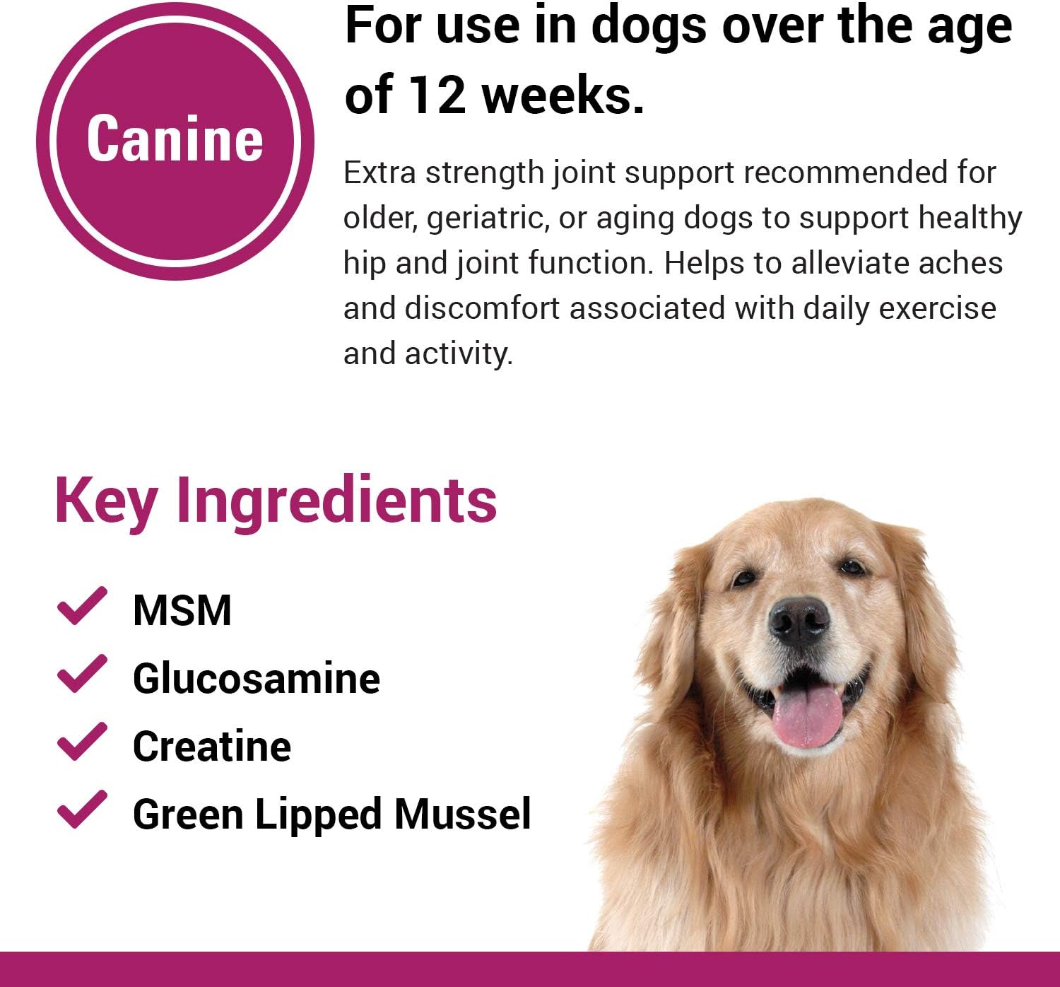 Re-Flex Ultra Extra-Strength Joint Support Dog Supplement – Includes MSM, Creatine, Glucosamine