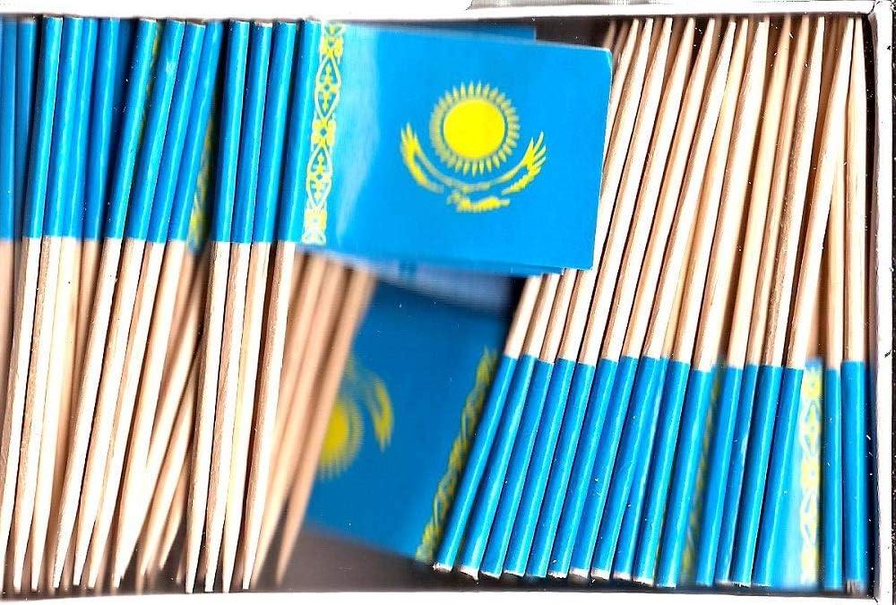 One Box of 100 Nicaragua Toothpick Flags, 100 Small Mini International Flag Cupcake Toothpicks or Cocktail Picks