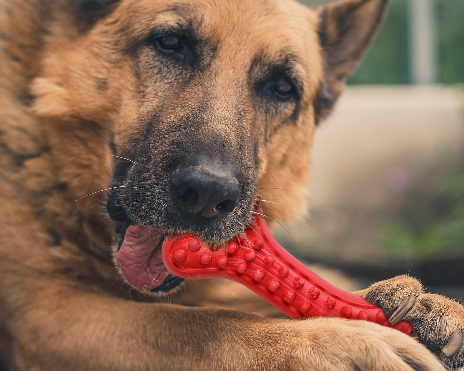 German Shepherd Dog Chew Toys for Aggressive Chewers