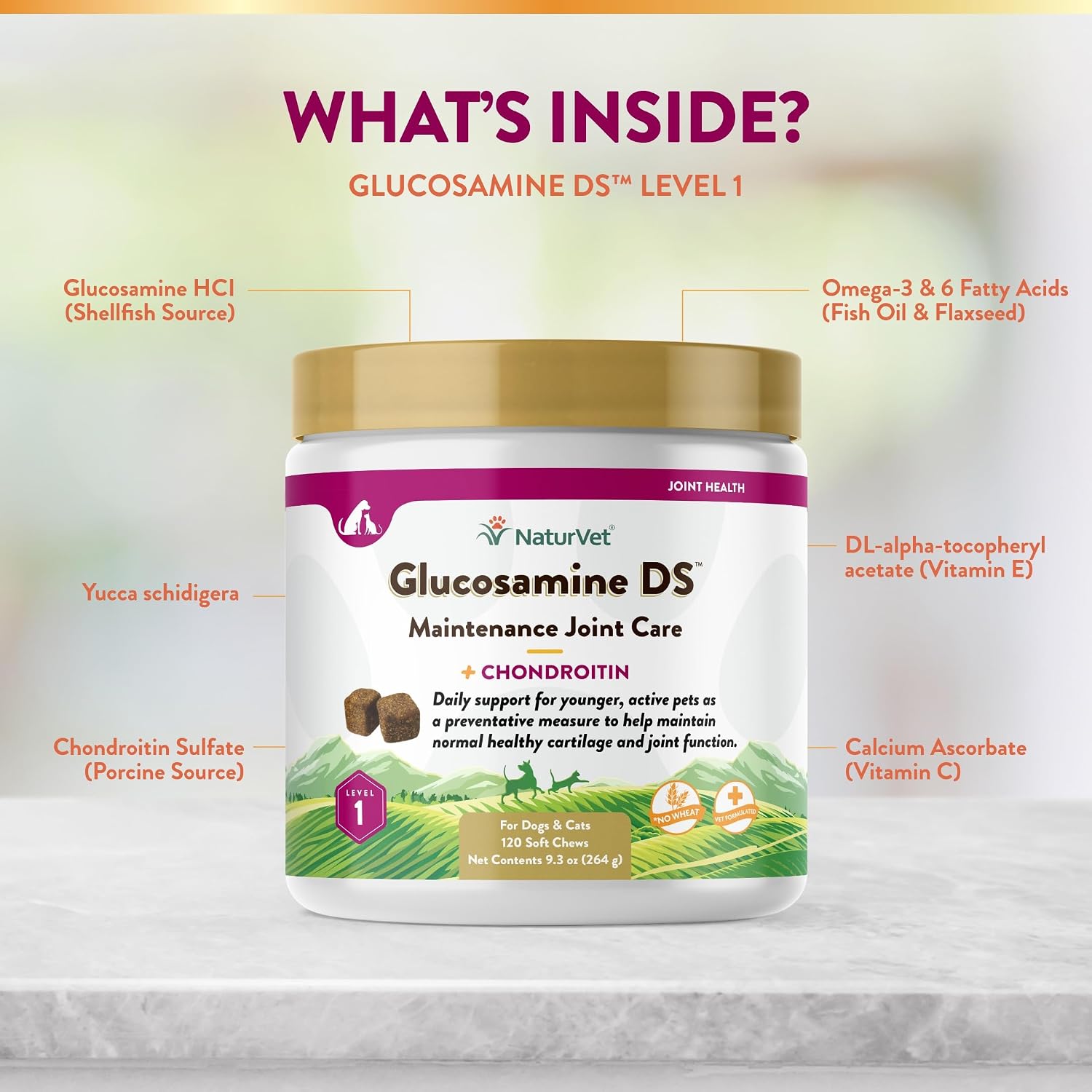 NaturVet – Glucosamine DS Plus - Level 2 Moderate Care – Supports Healthy Hip & Joint Function – Enhanced with Glucosamine, MSM & Chondroitin – for Dogs & Cats–70 Soft Chews