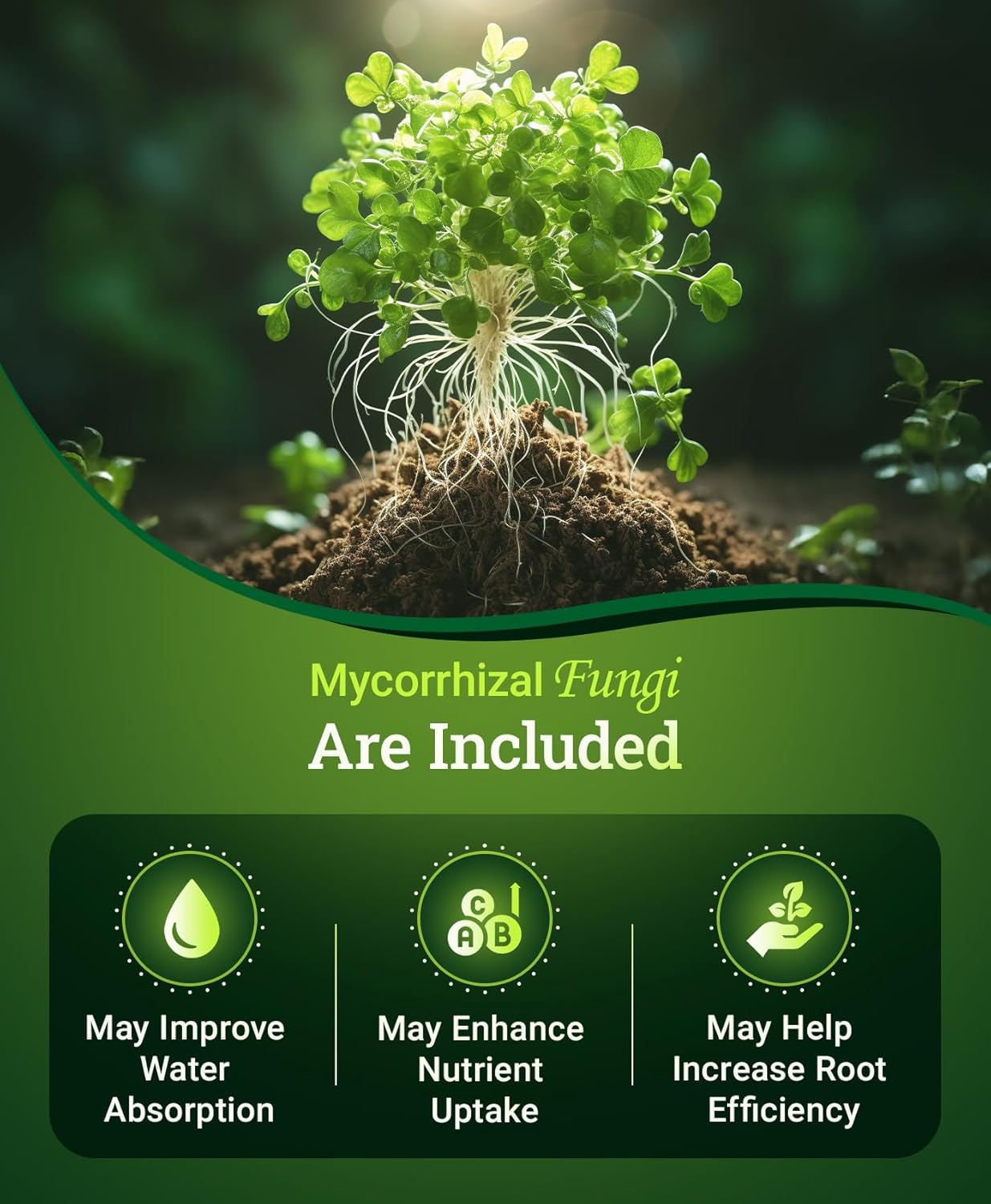 FoxFarm Happy Frog All Purpose Fertilizer - Slow Release Fertilizer for Flowers
