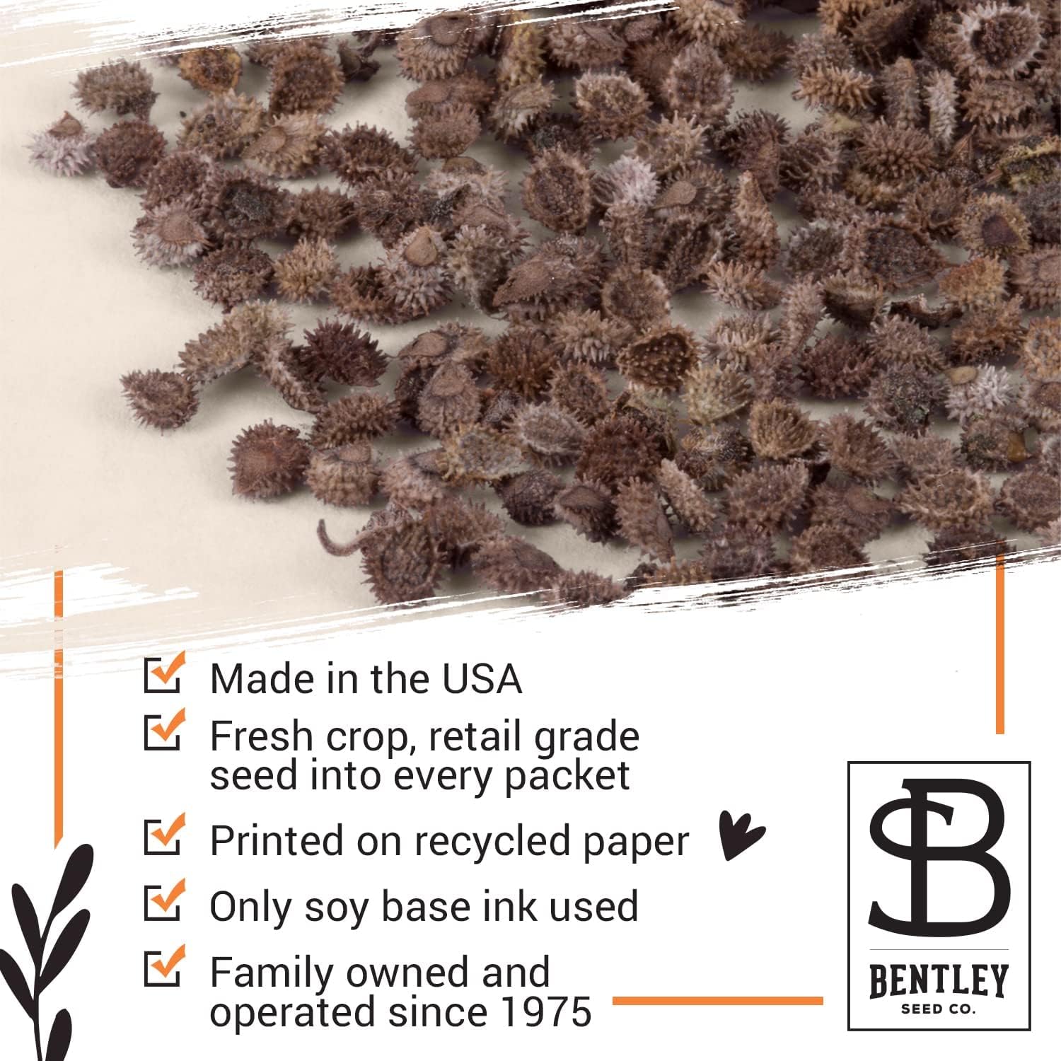 Bentley Thank You Packet - Sunflower Seeds - Pack of 25 - Perfect Eco-Friendly Thank You Gift - Non GMO
