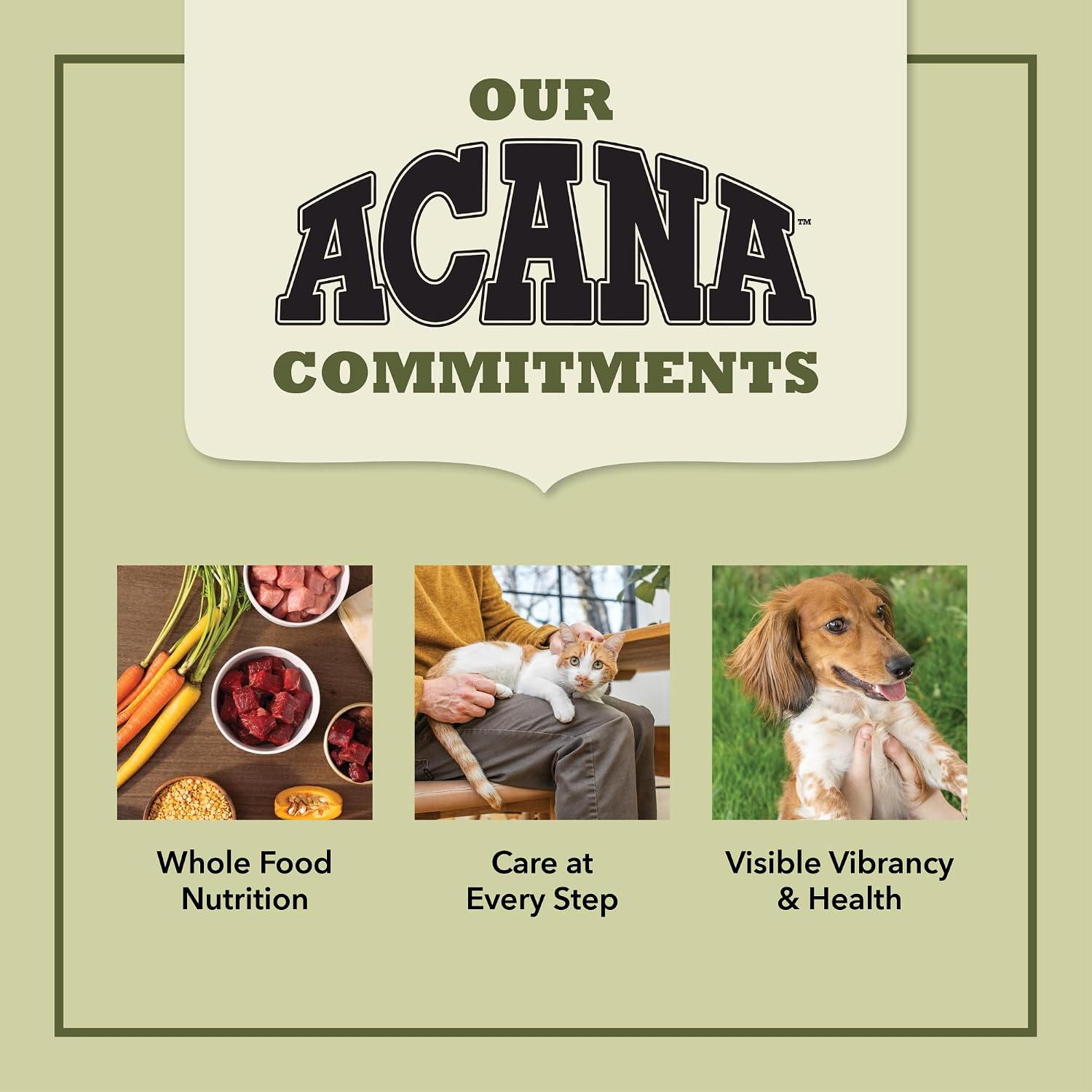 ACANA Grain-Free Dry Cat Food Meadowlands Recipe 4lb Bag
