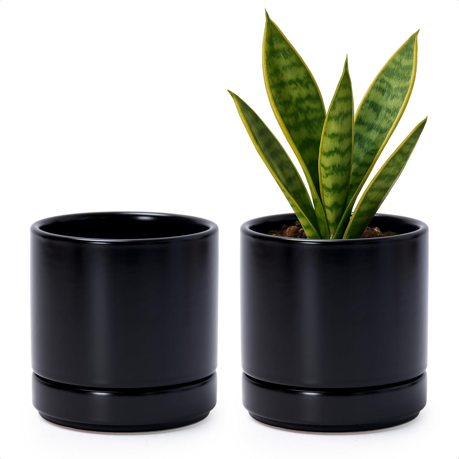 D'vine Dev 2-Pack Ceramic Pots with Saucers, White/Grey, 4.7 in, 94-V-B-6