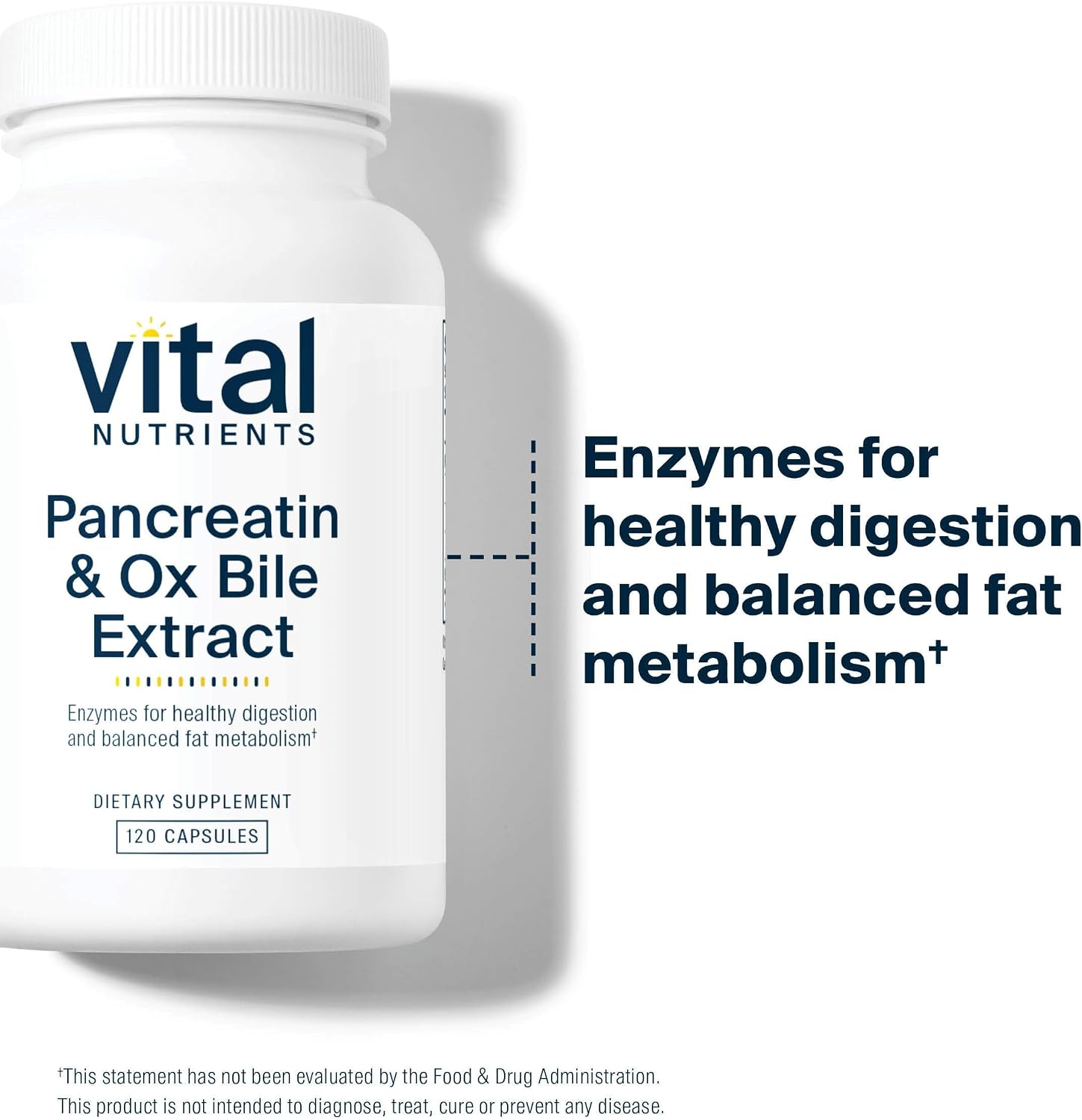 Vital Nutrients Pancreatin & Ox Bile Extract 500mg - Natural Digestive Enzymes for Women & Men - Supports Digestion of Protein, Fat, and Carbohydrates*- Gluten, Dairy & Soy Free - 60 Capsules