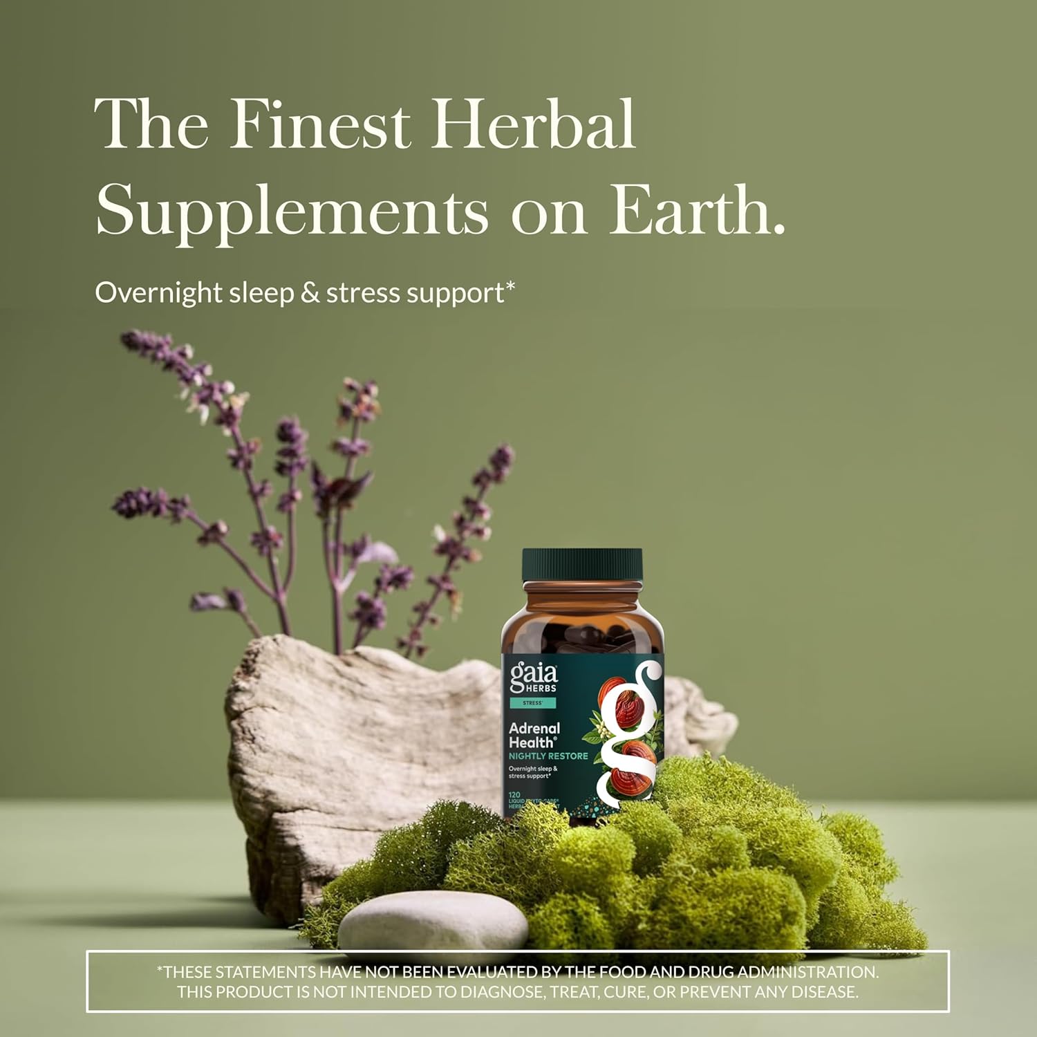 Gaia Herbs Adrenal Health Nightly Restore - Herbal Supplement with Ashwagandha, Magnolia Bark, Cordyceps, Lemon Balm & More* - 120 Vegan Liquid Phyto-Caps (60 Servings)