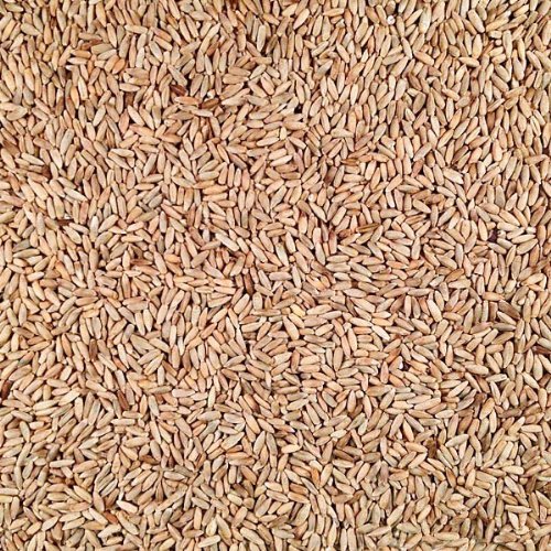 Grain Place Foods Non-GMO Organic Rye 25lb Bag