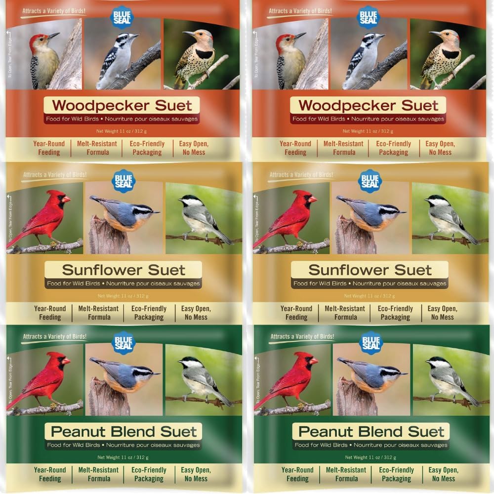 Blue Seal Nut Feast Suet Cakes for Wild Birds | No Mess Suet Feed with Variety of Nuts | Food for Woodpeckers, Cardinals