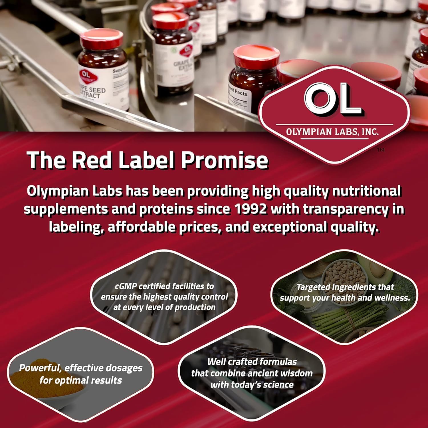 Olympian Labs Complete Prebiotic and Probiotic Supplement - 25 Billion Live Shelf Stable Cultures - 30 Vegetarian Capsules, Helps Restore the Natural Balance Within the Digestive Tract.