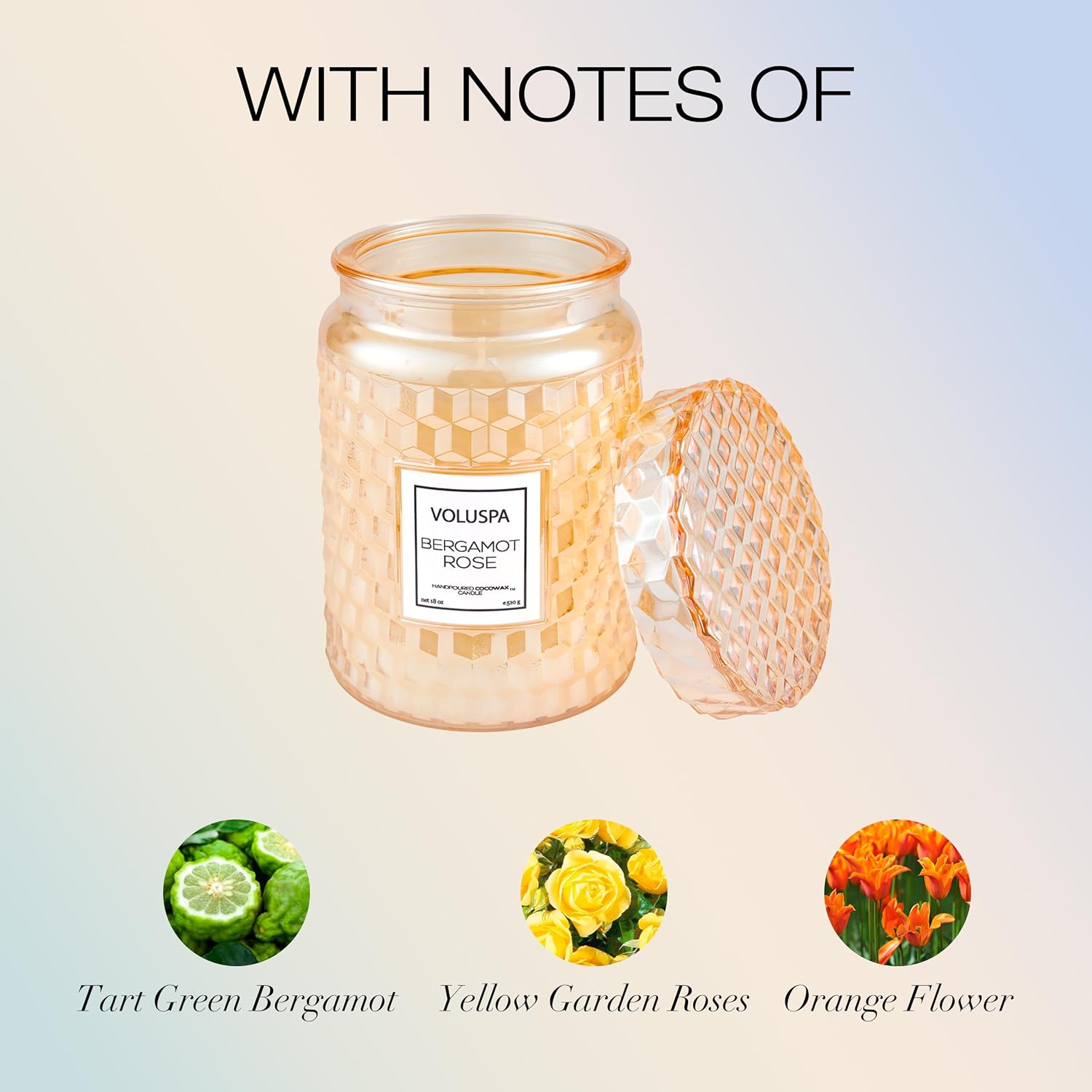 Voluspa Milk Rose, Large Candle Jar, 18 Ounce, 100 Hour Burn Time, Coconut Wax for Clean Burning, Handcrafted in the USA