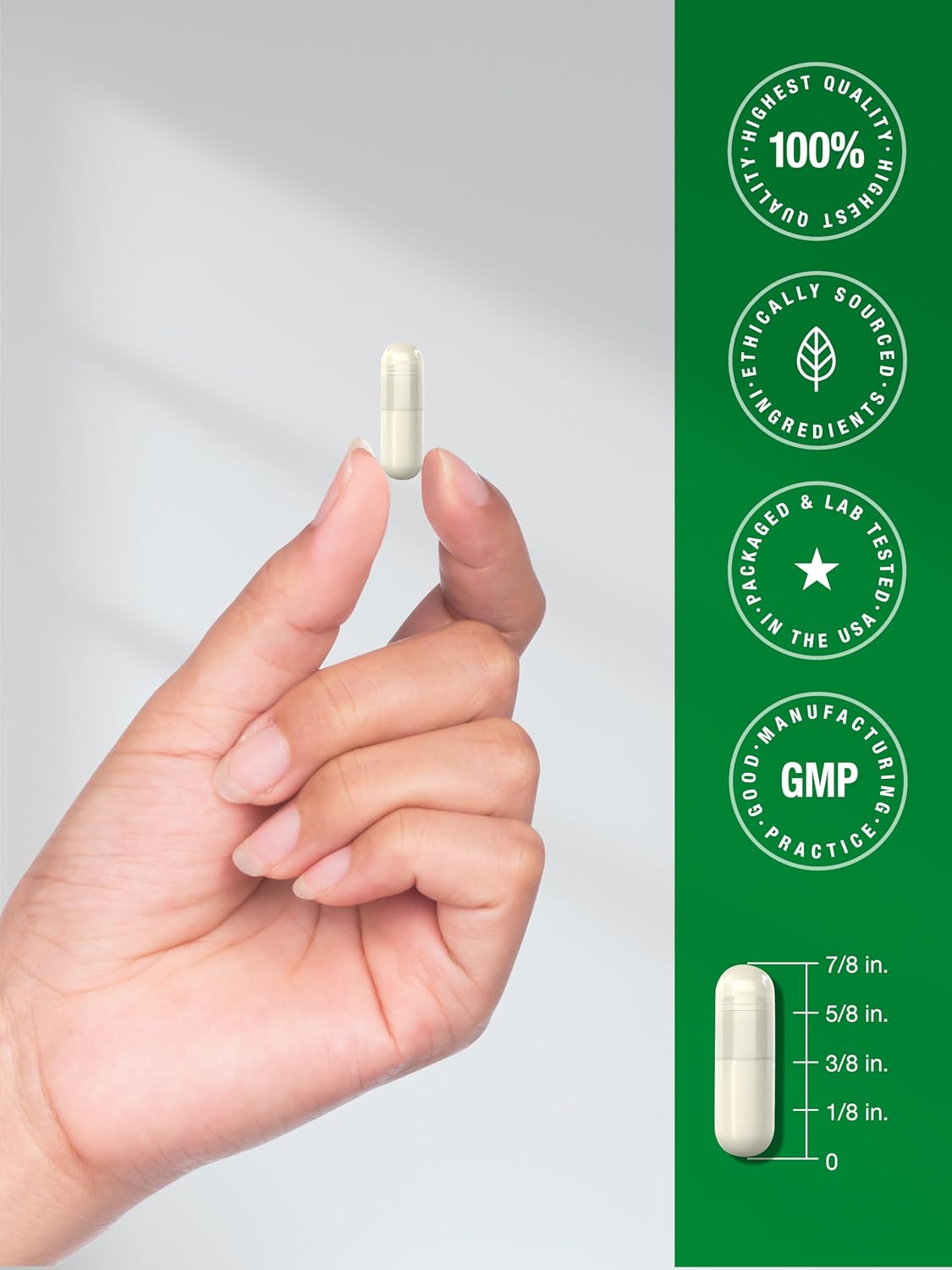 Horbäach Green Lipped Mussel |120 Capsules | from New Zealand