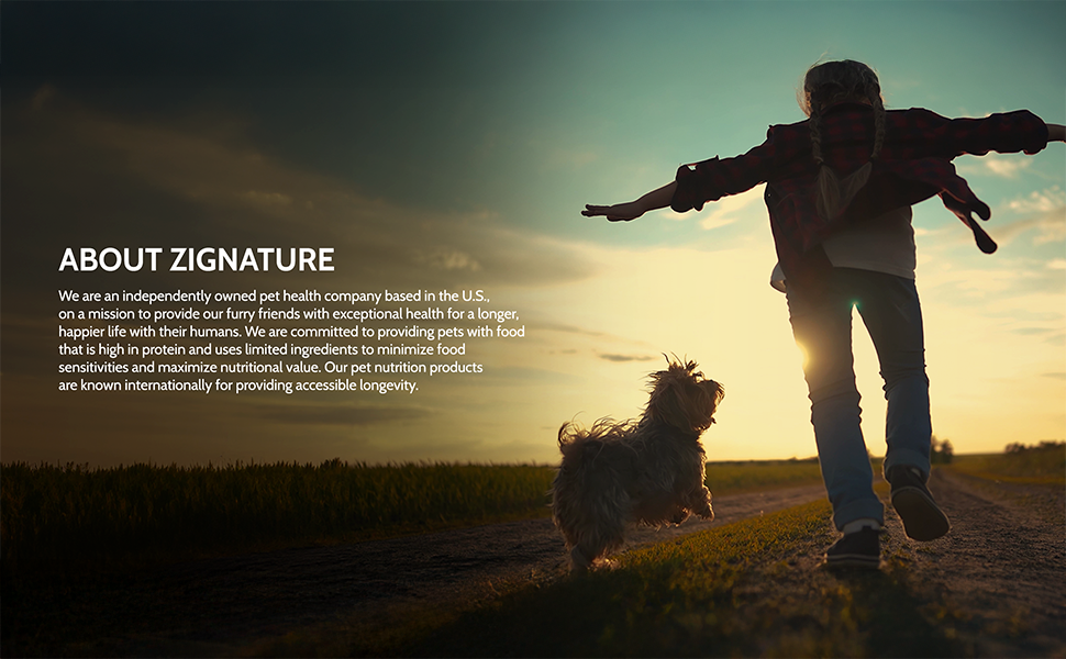 About Zignature