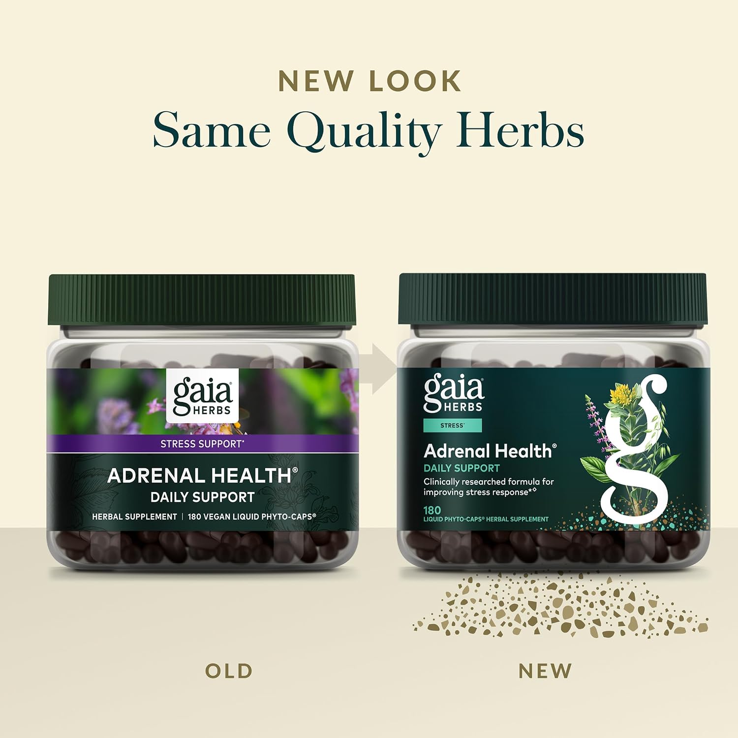 Gaia Herbs Adrenal Health Daily Support - Herbal Supplement with Ashwagandha, Holy Basil & Schisandra - Help Maintain Healthy Energy & Stress Levels* - 60 Vegan Liquid Phyto-Caps (30 Servings)
