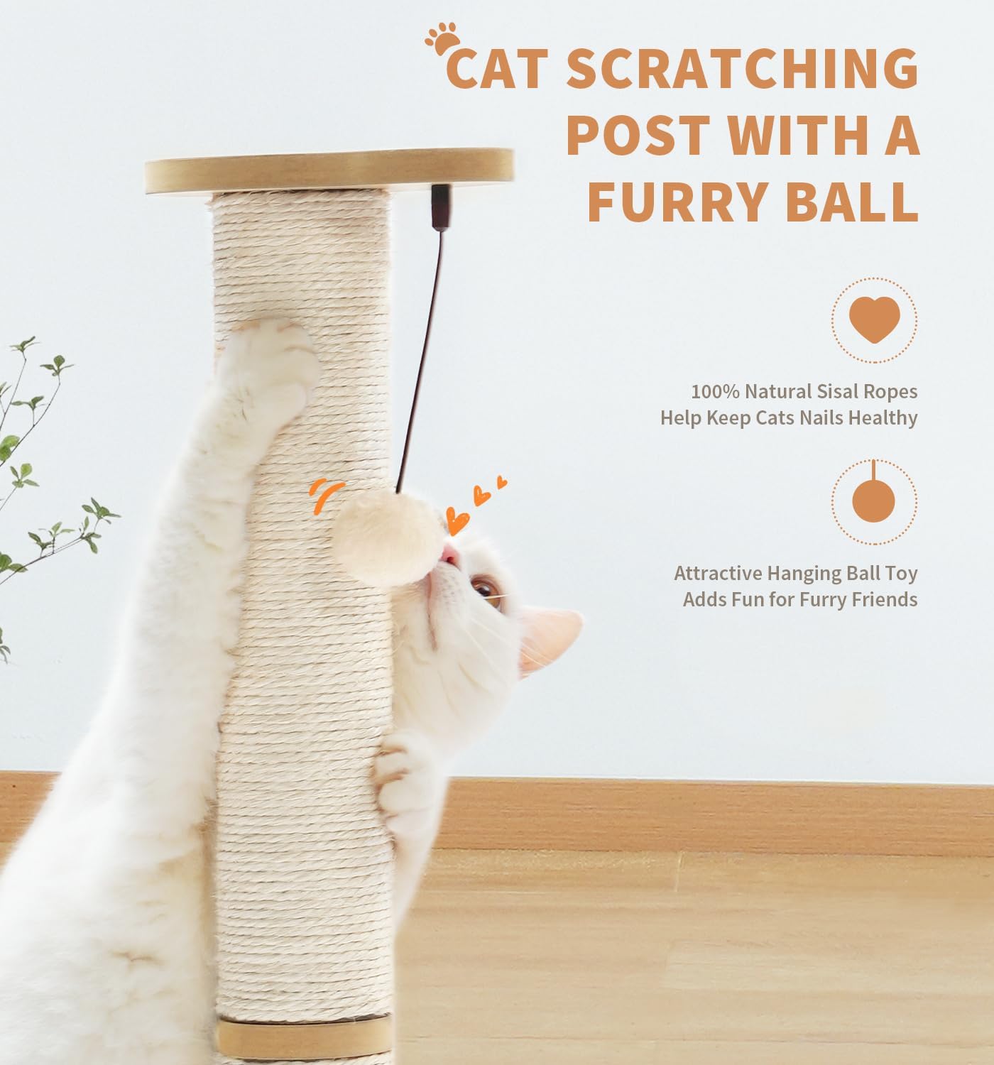 Made4Pets Kitten Toy Scratching Post for Indoor Cats with Ball Track