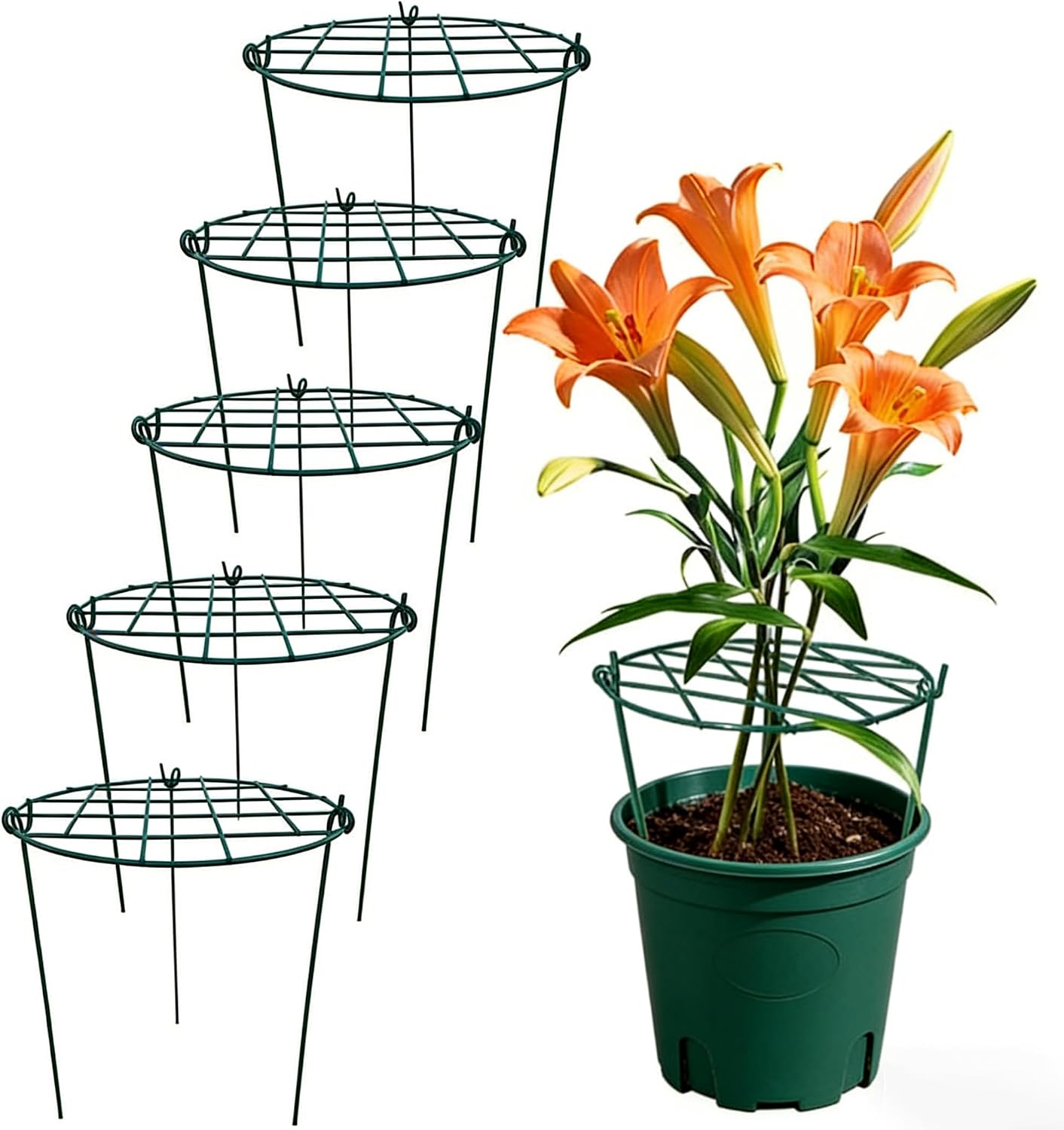 MTB Supply 5 Pack 36" x 18" Peony Double Ring Plant Support,Plant Support Stakes for Tomatoes Peony Lily Rose Plant Support Rings Peony Cages for Outdoor Plants Flowers Vegetables