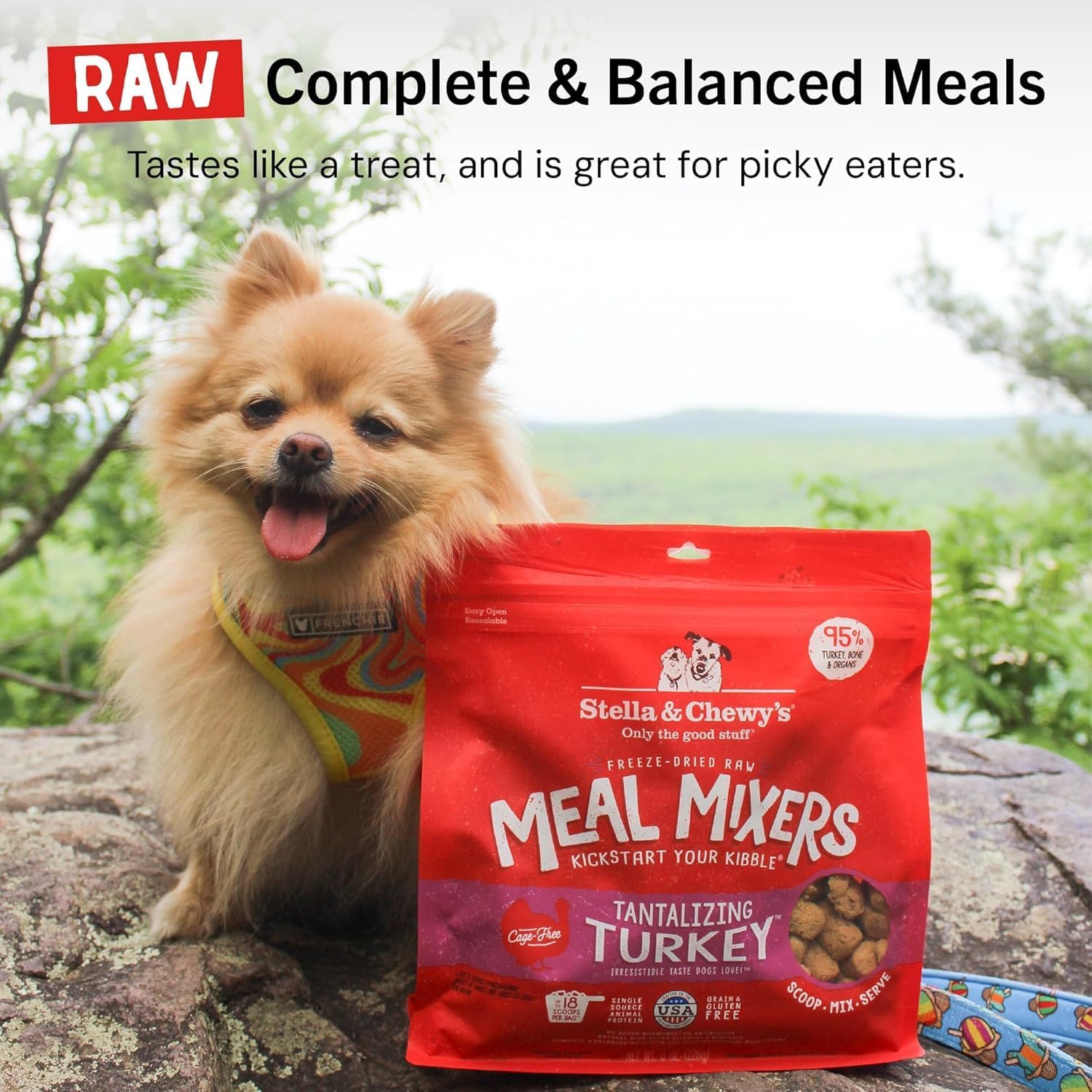 Stella & Chewy's Freeze-Dried Raw Chicken Meal Mixers- Dog Food Topper and Mixer - Made with 95% Cage-Free Chicken, Organs & Bone - Perfect for Picky Eaters - Grain-Free - 3.5oz