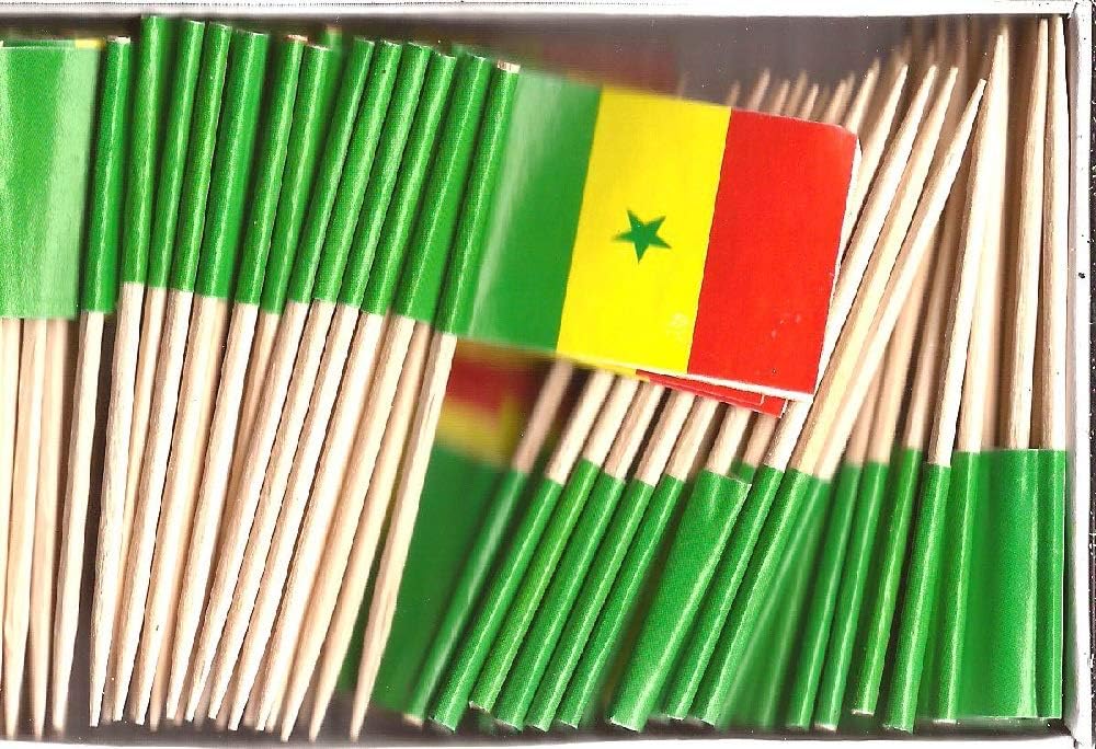 One Box of 100 Nicaragua Toothpick Flags, 100 Small Mini International Flag Cupcake Toothpicks or Cocktail Picks