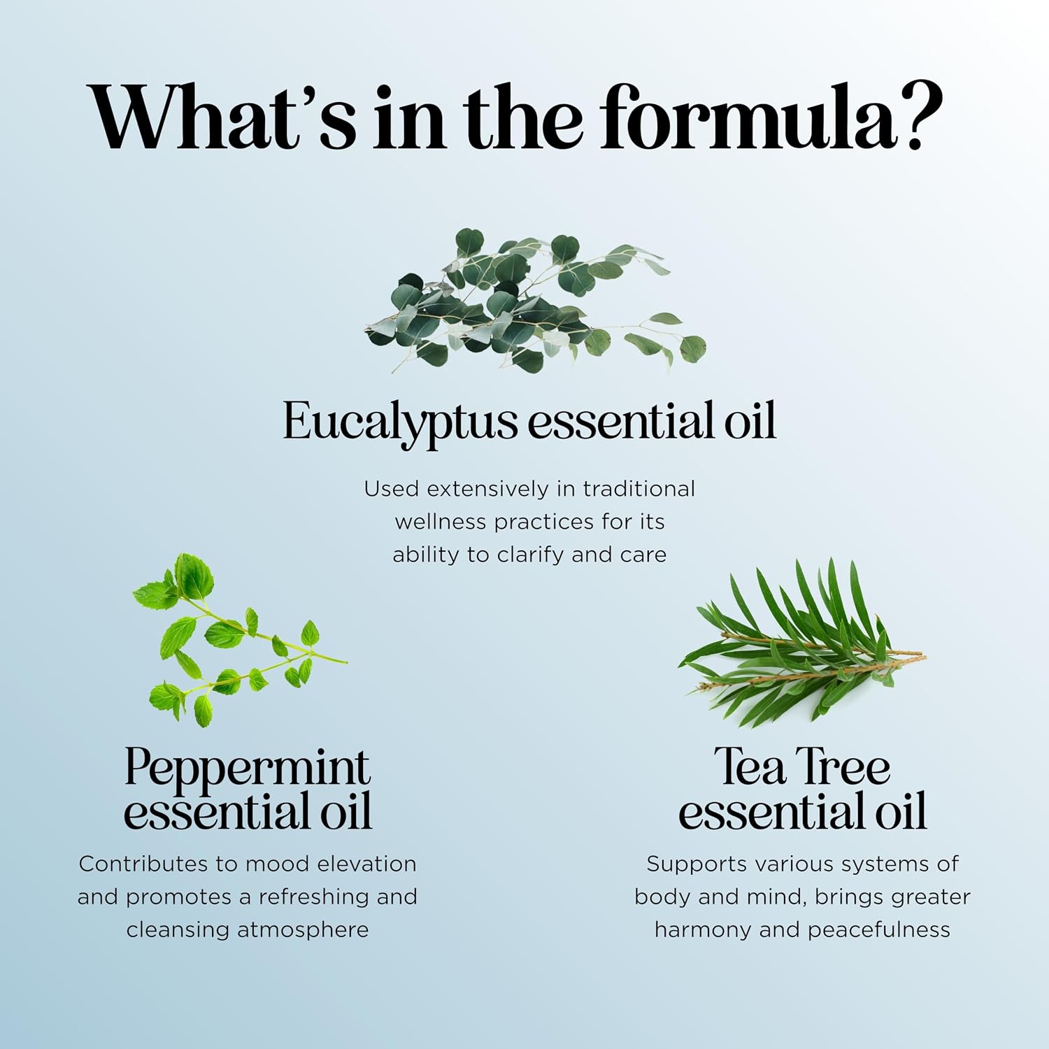 Defend Cleaning Essential Oil Blend - Pure Undiluted Natural Purification Essential Oils for Diffusers for Home Cleansing - Aromatherapy Essential