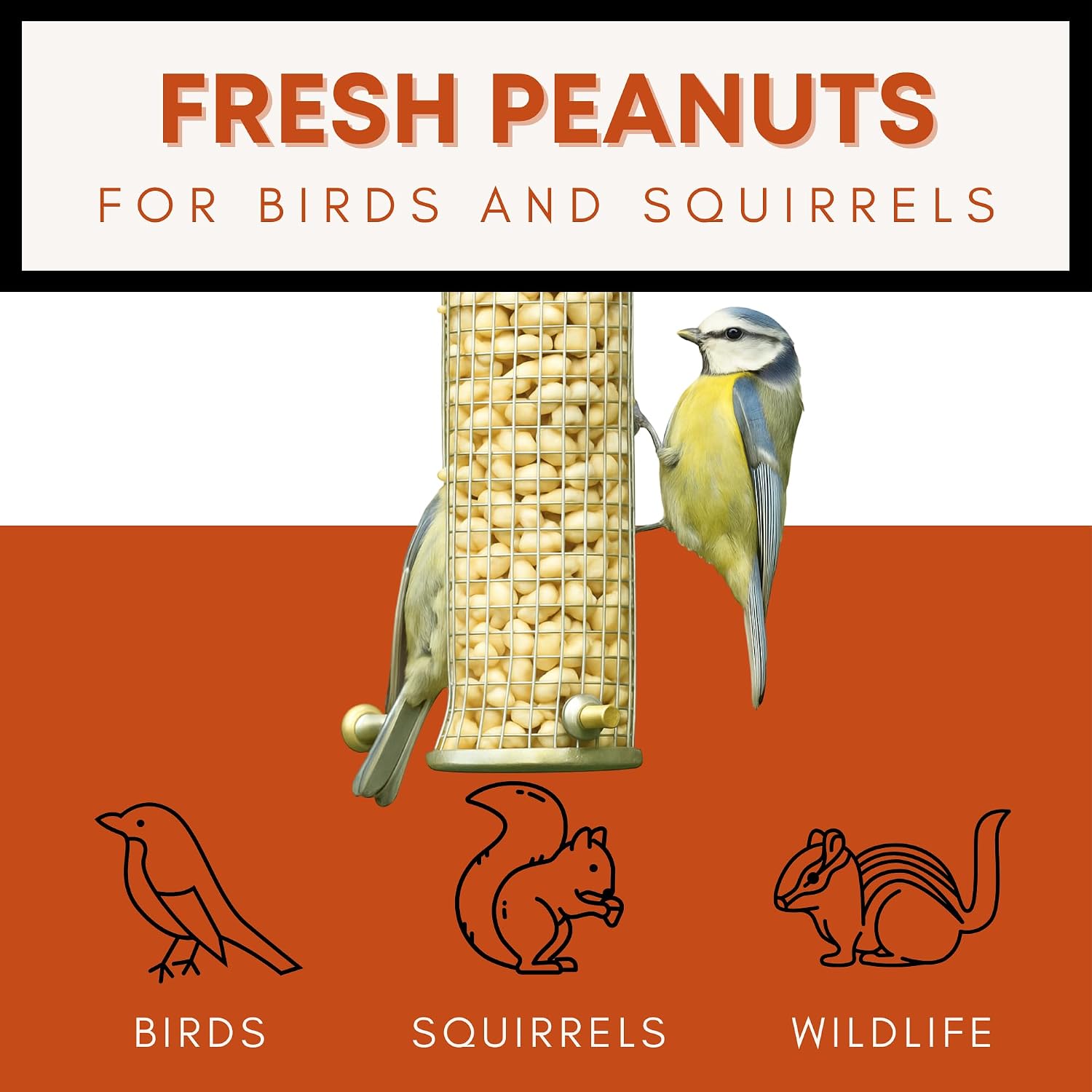 Fresh Shelled Peanuts for Birds & Squirrels - Raw Wildlife Peanuts, No Mess Bird Seed, No Waste Bird Seed for Wild Birds & Backyard Squirrels (10lbs)