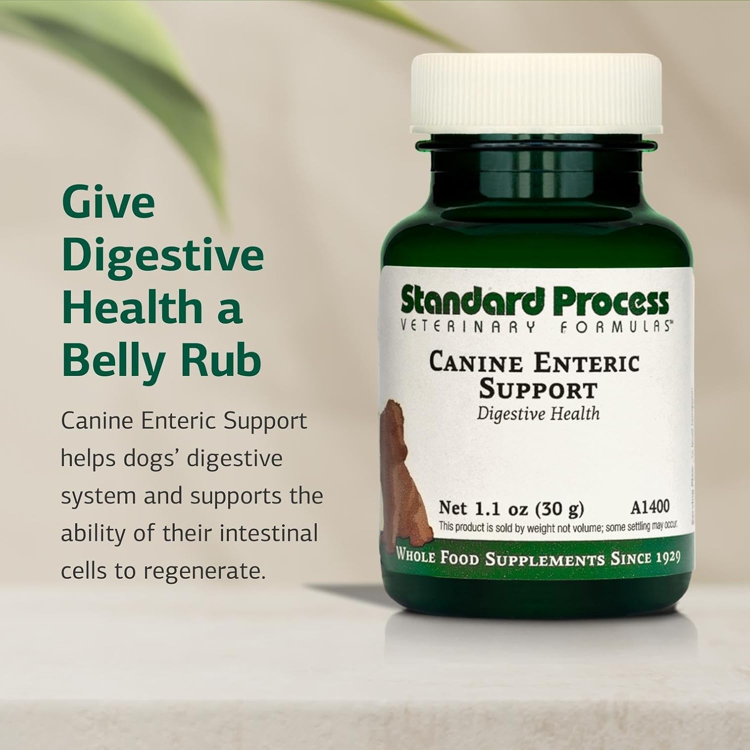 Standard Process Inc. Canine Enteric Support - Digestive System Support for Dogs - Nutritional Dog Supplement for Gut Health - Canine Supplement Formula to Aid Healthy Digestion - 30 g
