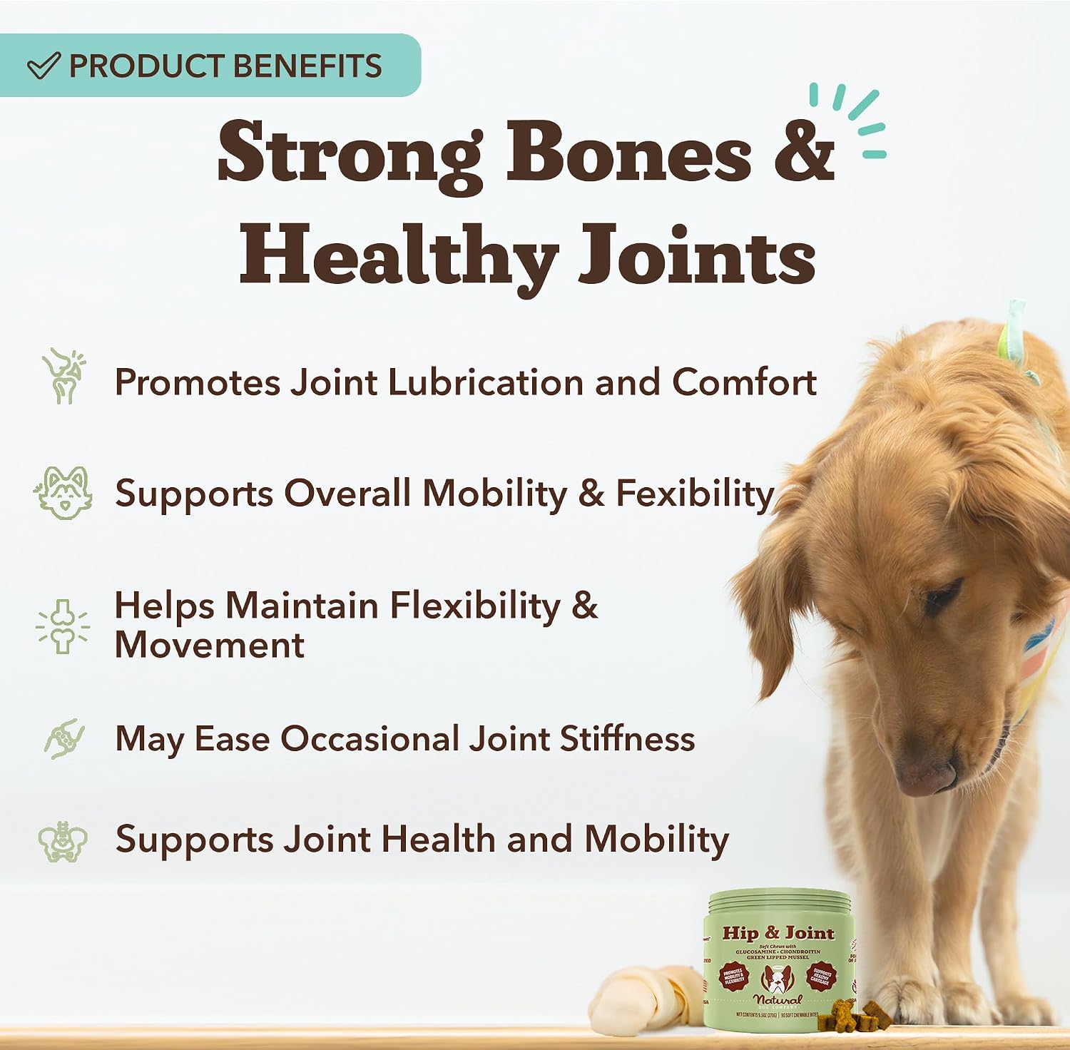 Natural Dog Company Liquid Glucosamine Hip & Joint Oil for Dogs, 16 oz, Extra Strength Cartilage & Joint Support, Helps Mobility and Eases Occasional Stiffness, Dog Vitamins & Supplements