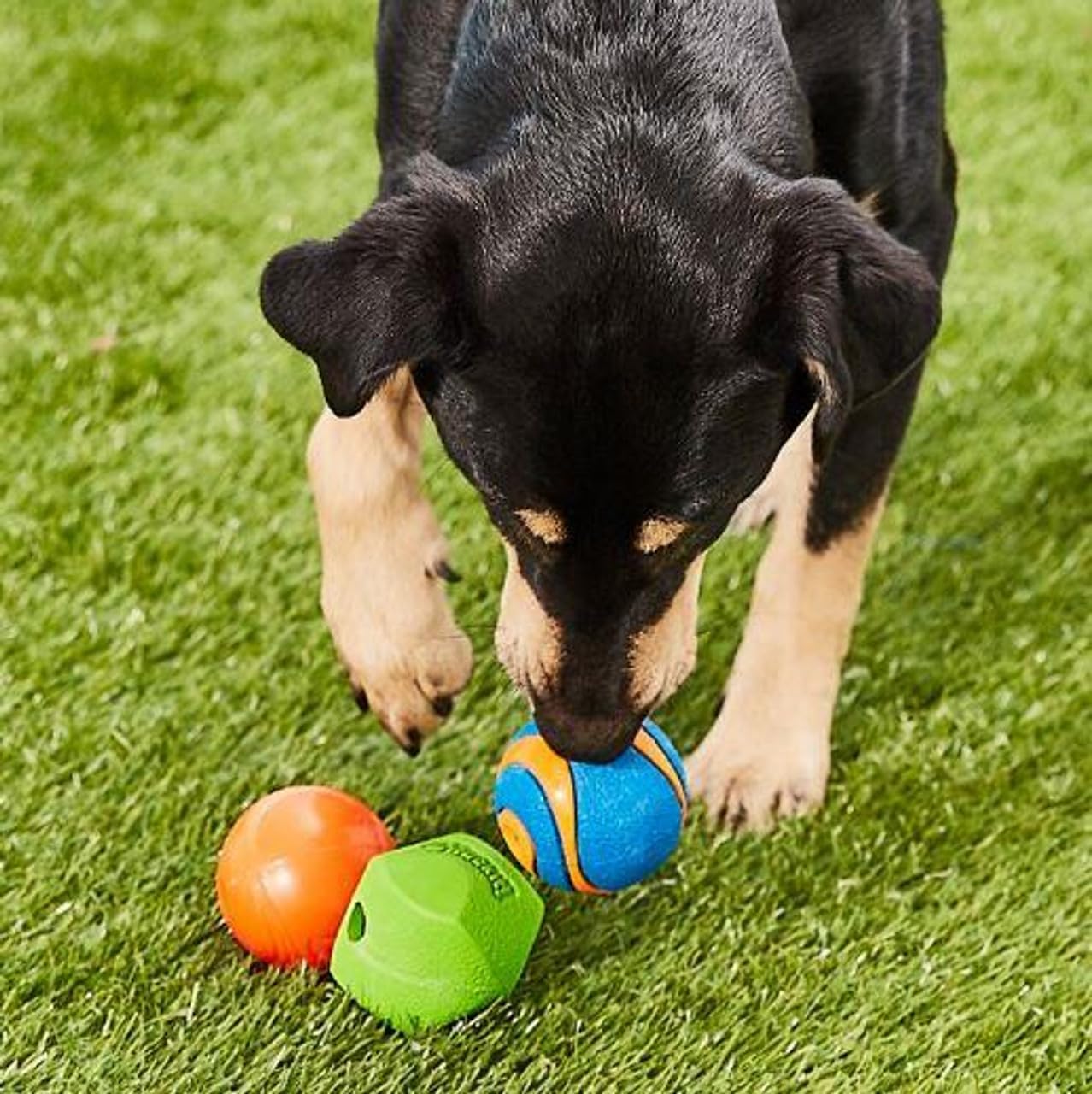 Chuckit! Fetch Pack Dog Balls - Interactive Dog Toys, High-Bounce Fetch Ball, Floating Ultra and Rugged Balls, Durable - Size Small, 2-inch Diameter, Set of 3