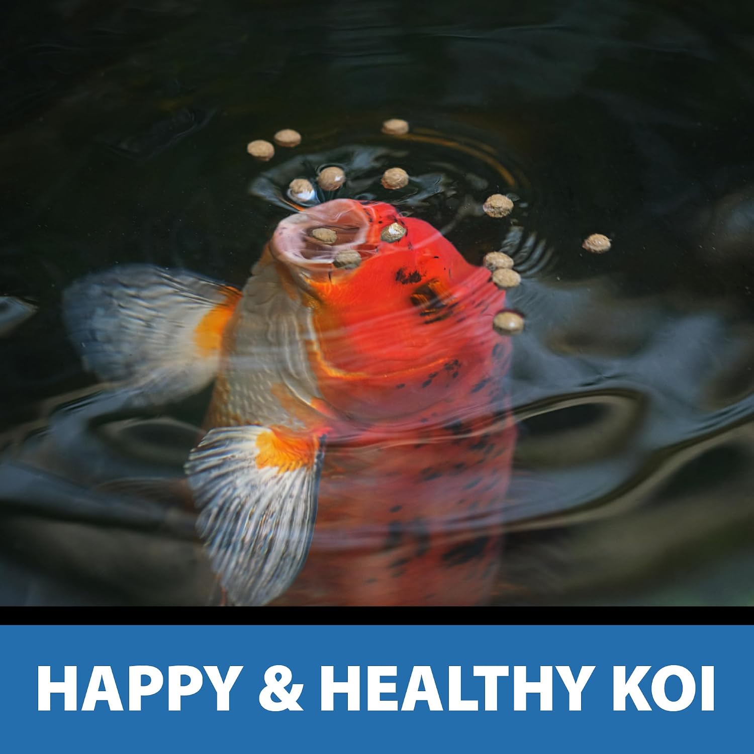 CrystalClear Platinum Fish Food Floating 5mm Pellets, 17.6 lbs | For Koi & Goldfish, premium nutrition to boost growth, color, and wellness in backyard ponds & water gardens