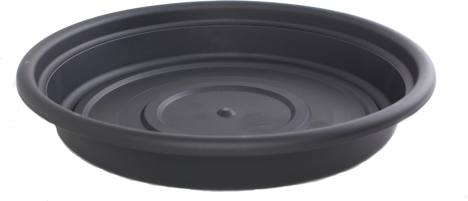 Bloem SDC8-46 Dura Cotta Plant Saucer, Terra Cotta, 8"