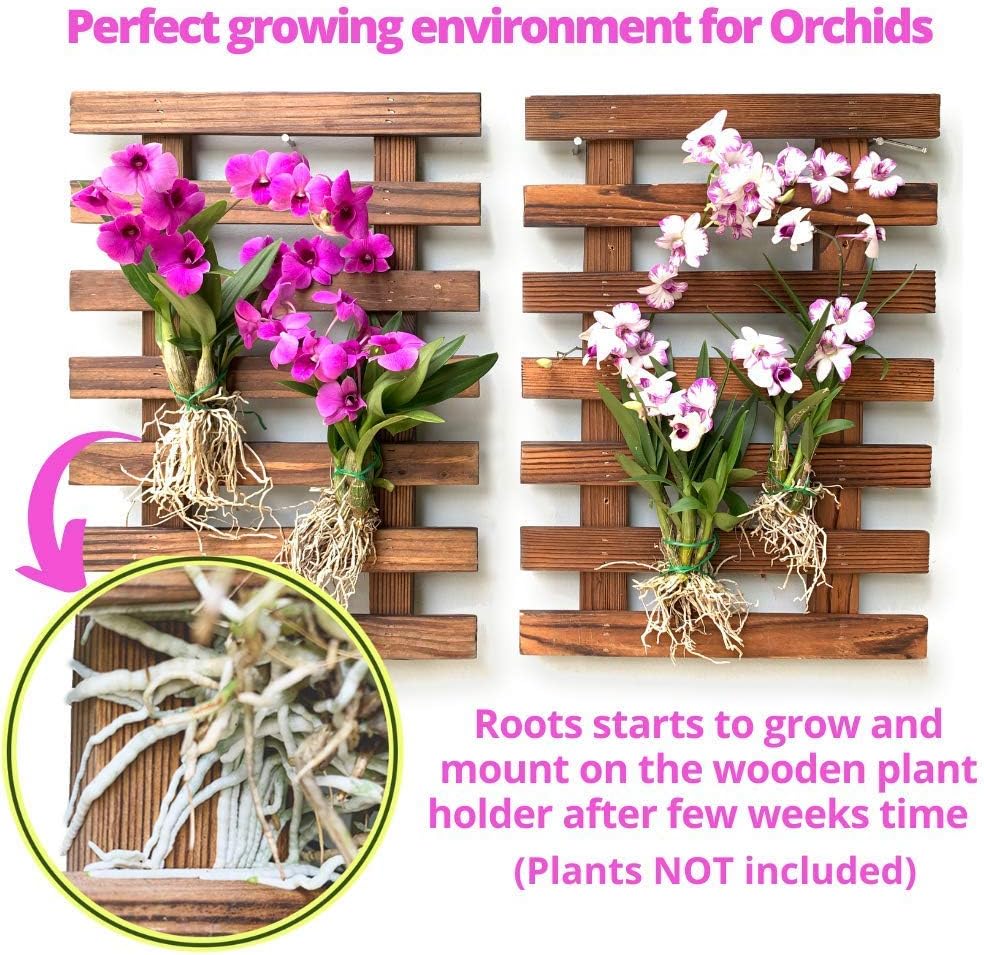 ShopLaLa Wall Planter (60cm, 2 Pack) Hanging Planters for Indoor Plants