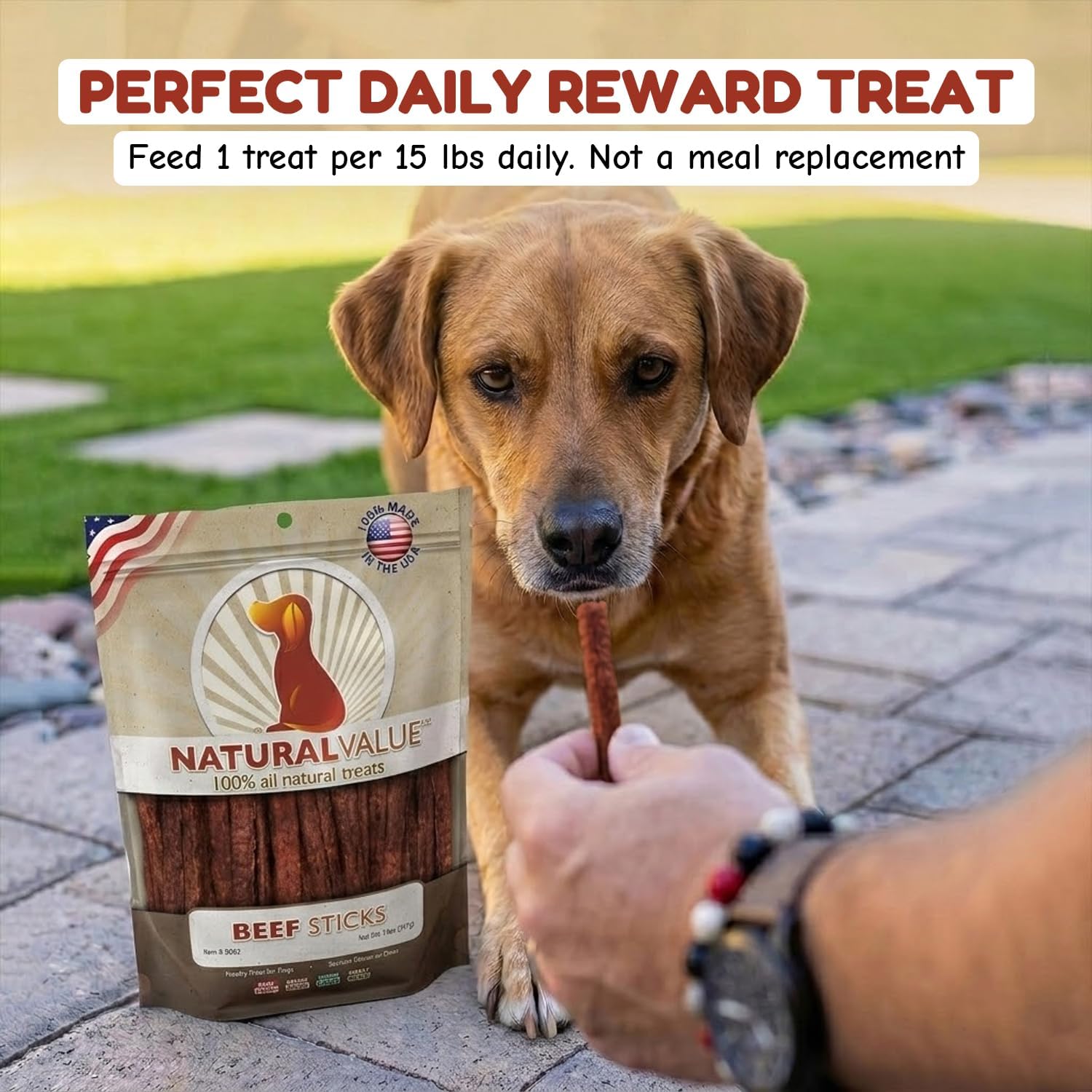 Loving Pets Natural Value Beef Sticks - Soft Jerky Dog Treats for Large & Small Breeds - Healthy Gluten, Wheat, Soy & Grain Free Pet Treats for Dogs