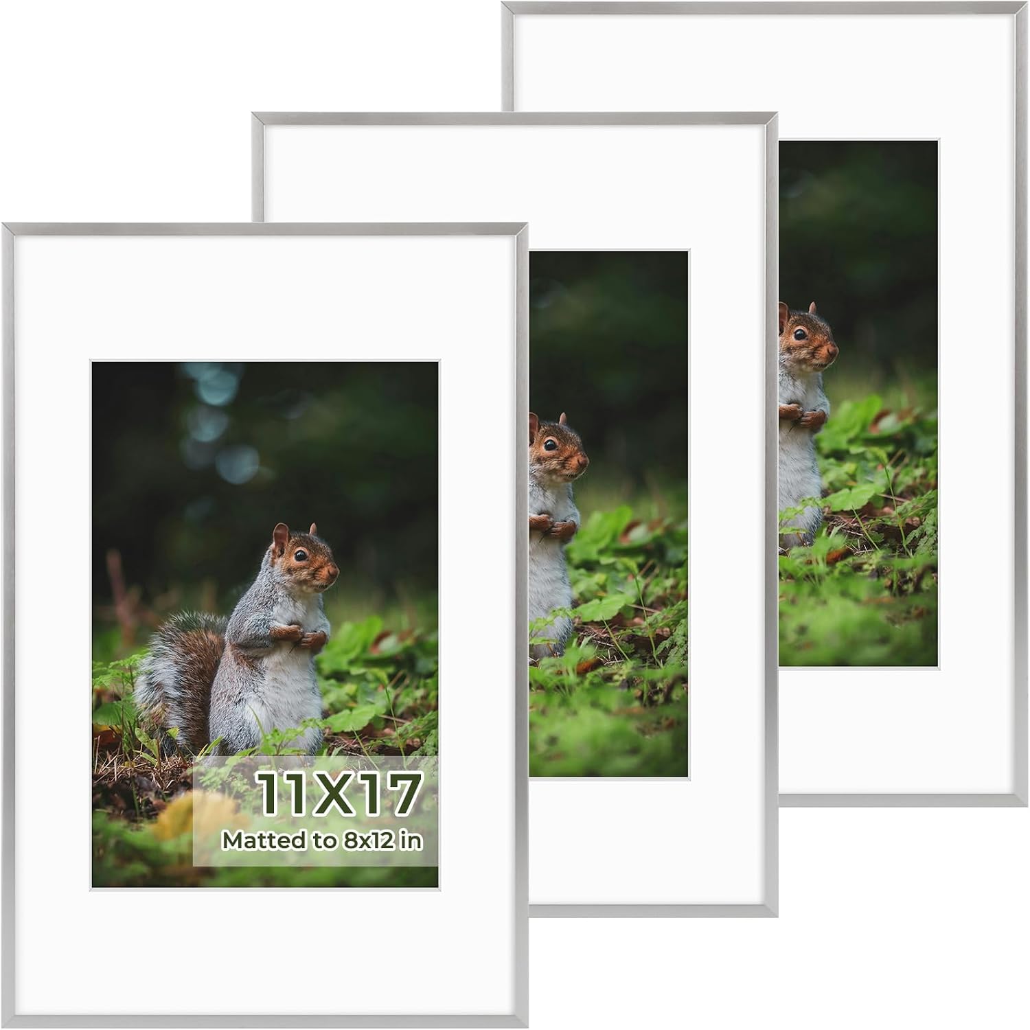 Golden State Art 3 Pack 12x12 Black Aluminum Frames, Real Glass Fronts