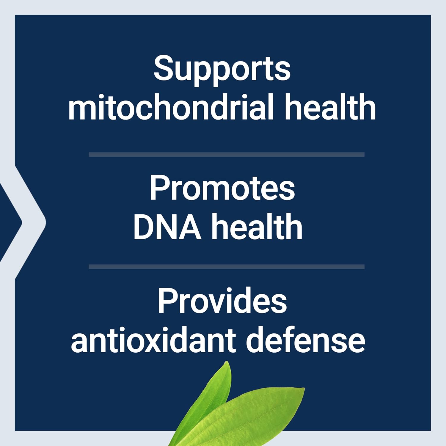 Life Extension Chlorophyllin, antioxidant & DNA Health Support, Gluten-Free, Non-GMO, Vegetarian