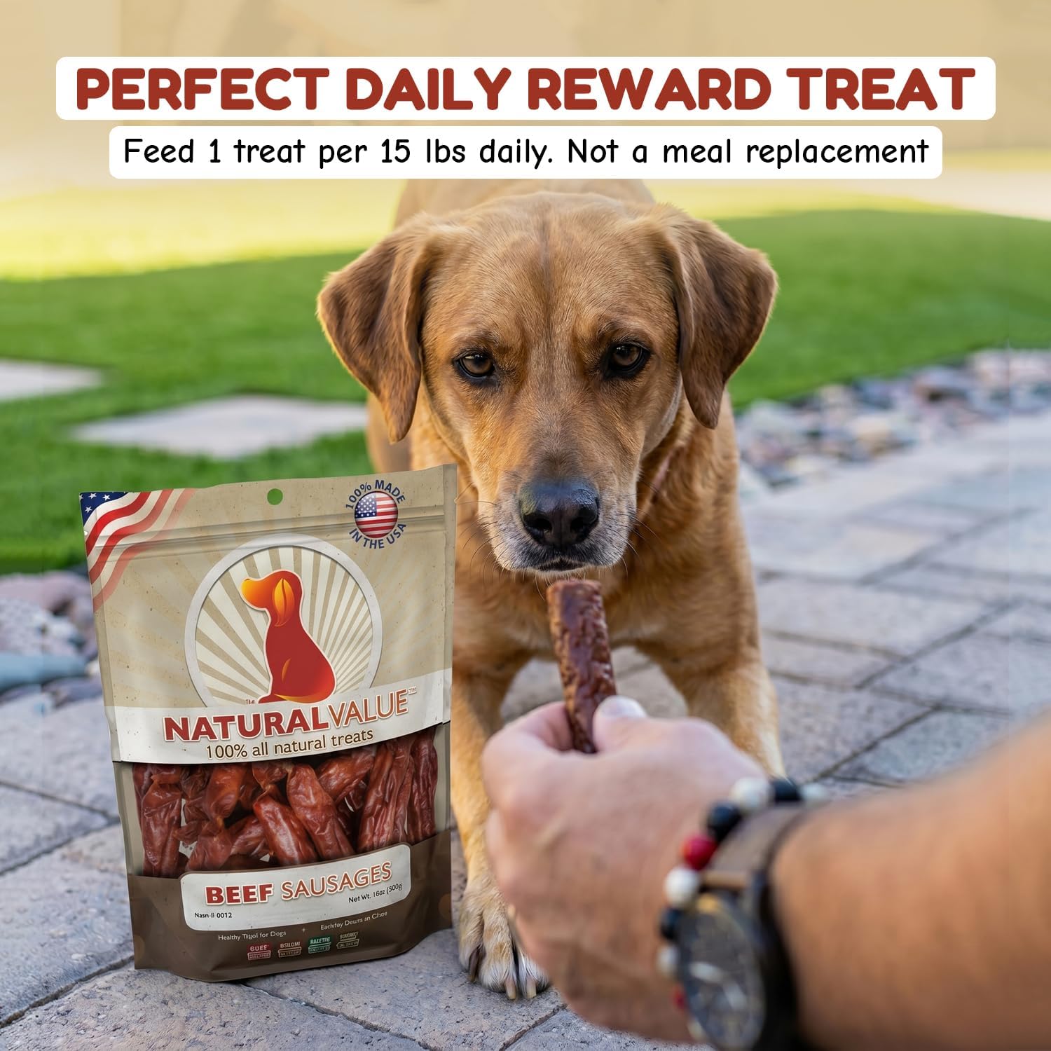 Loving Pets Natural Value Beef Sticks - Soft Jerky Dog Treats for Large & Small Breeds - Healthy Gluten, Wheat, Soy & Grain Free Pet Treats for Dogs