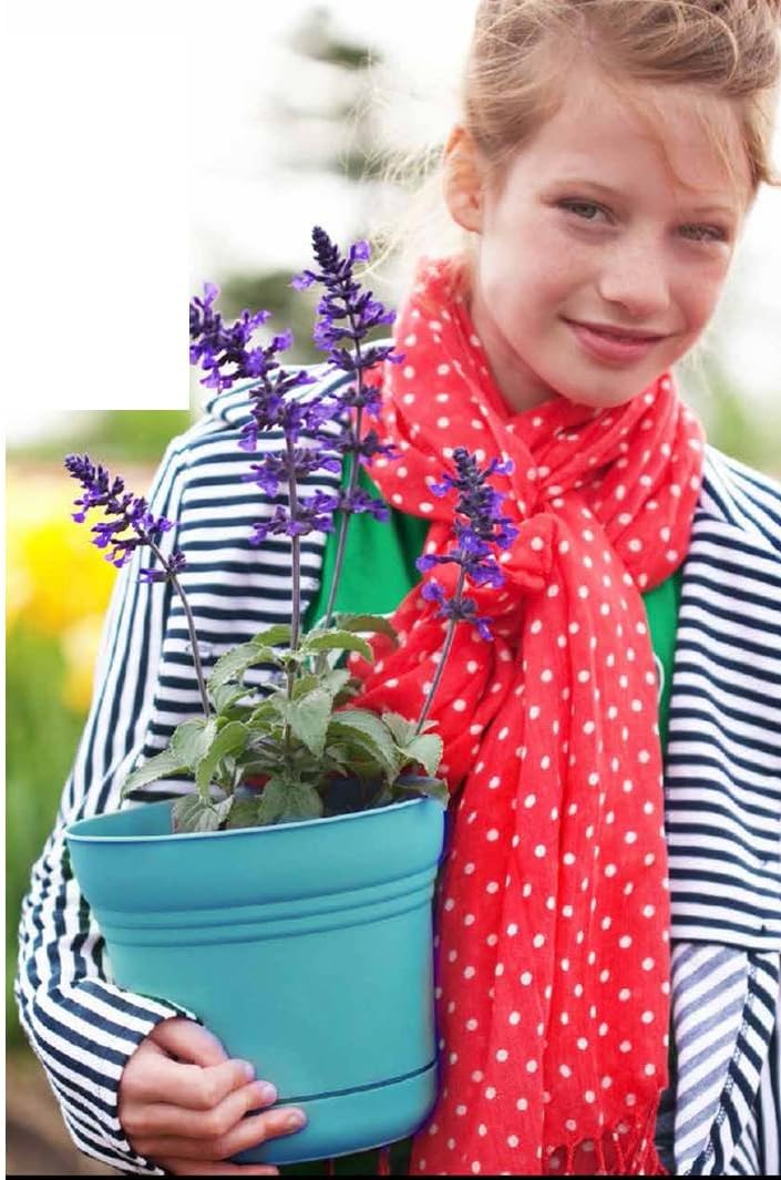 Bloem Saturn Planter with Saucer, 10", Calypso (SP1027)