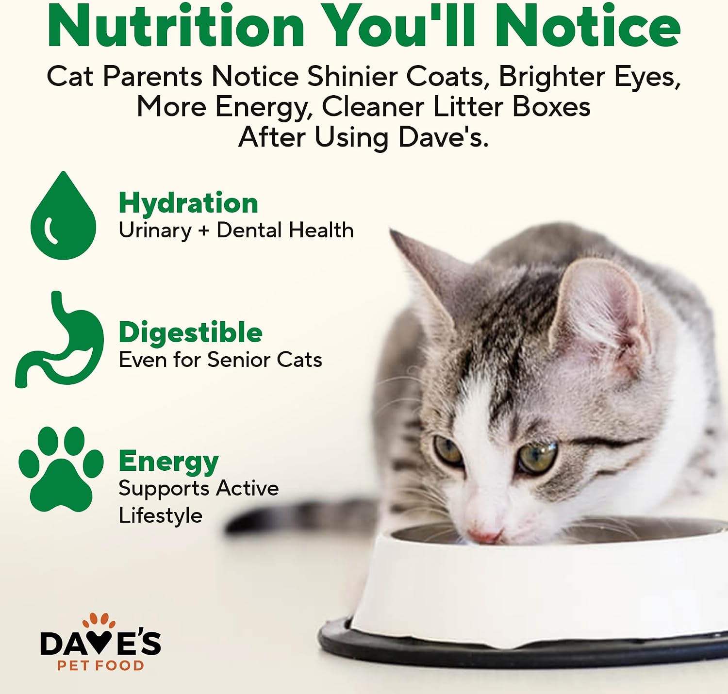 Dave's Pet Food Grain Free Wet Canned Cat Food Pate, Chicken, 12.5 oz, 12pk | Made in USA, Naturally Healthy, Easy to Digest Wheat & Gluten-Free, Use as Topper or Meal, Carrageenan-Free