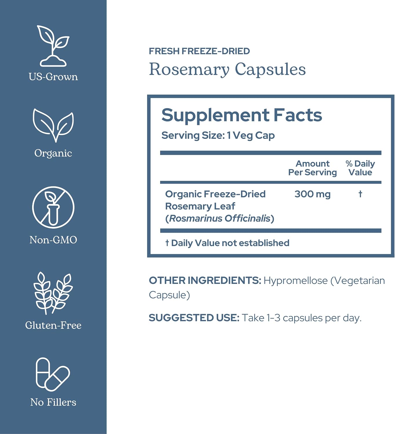 Eclectic Herb - Rosemary Capsules | Cognitive Support, Memory & Brain Health | Mood Support | Herbal Supplement | Vegan, Non-GMO, Gluten Free